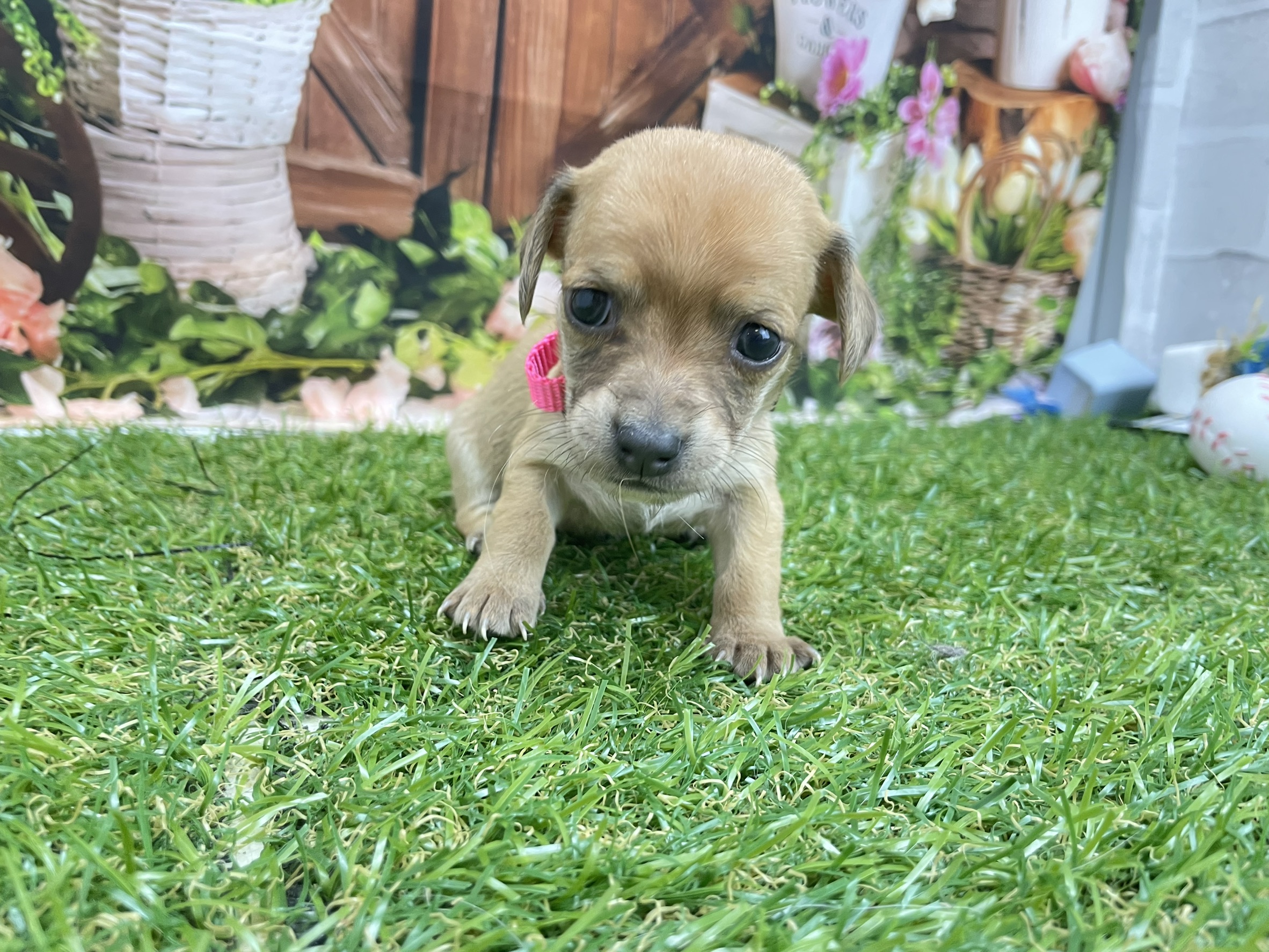 赤ちゃん写真2-1