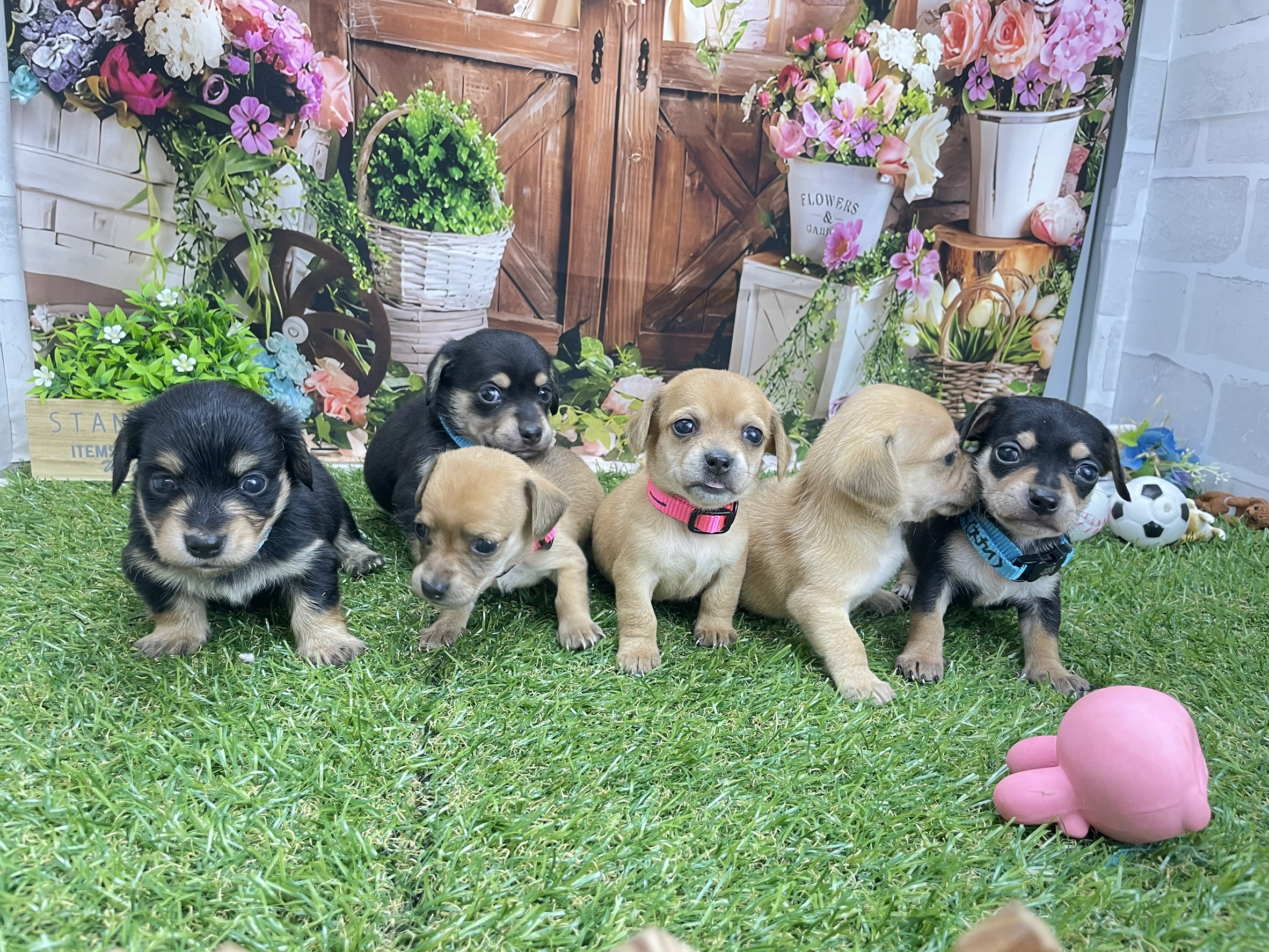 赤ちゃん写真2-3