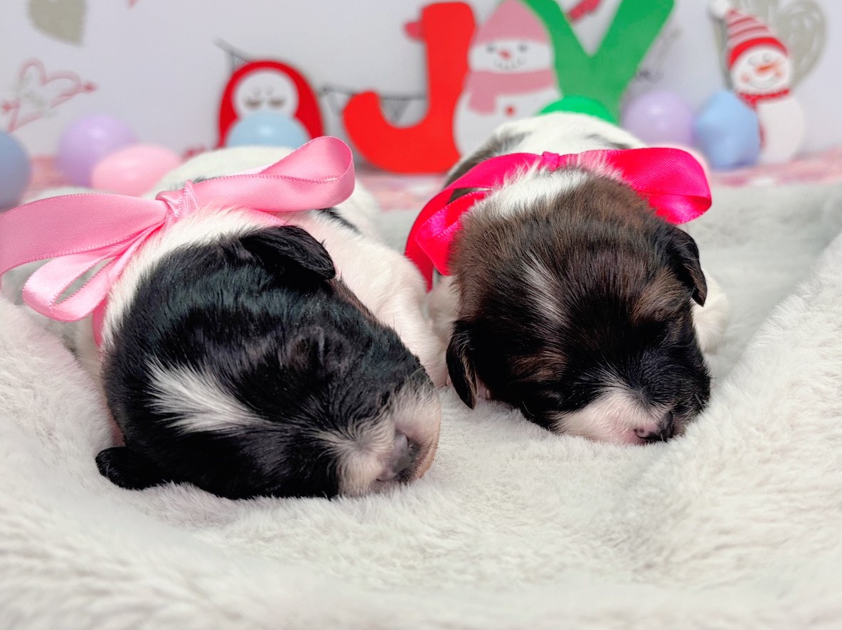 赤ちゃん写真1-3