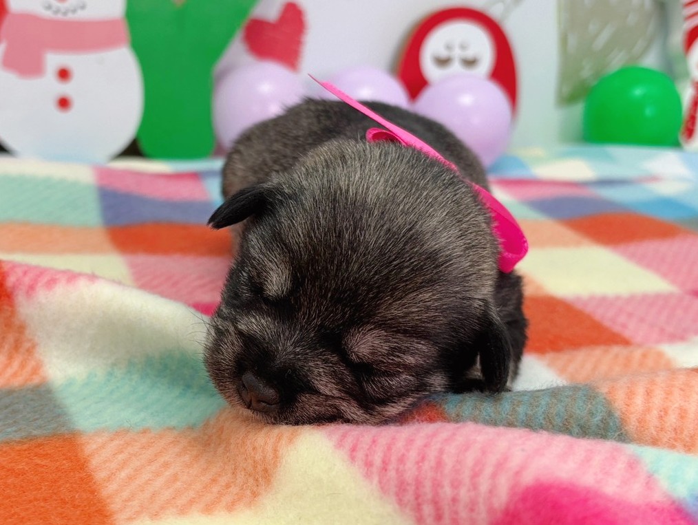 赤ちゃん写真1-1