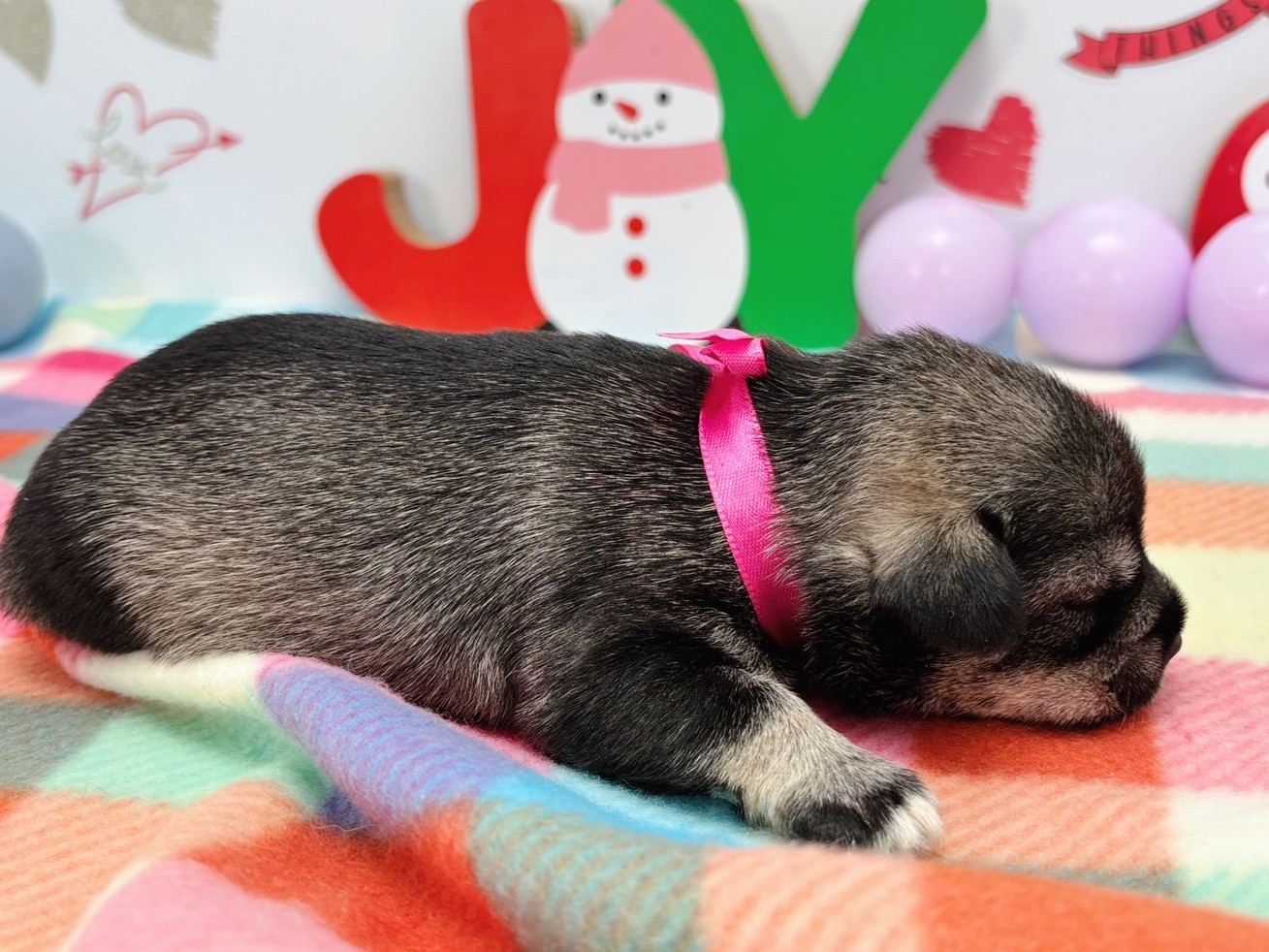 赤ちゃん写真1-2