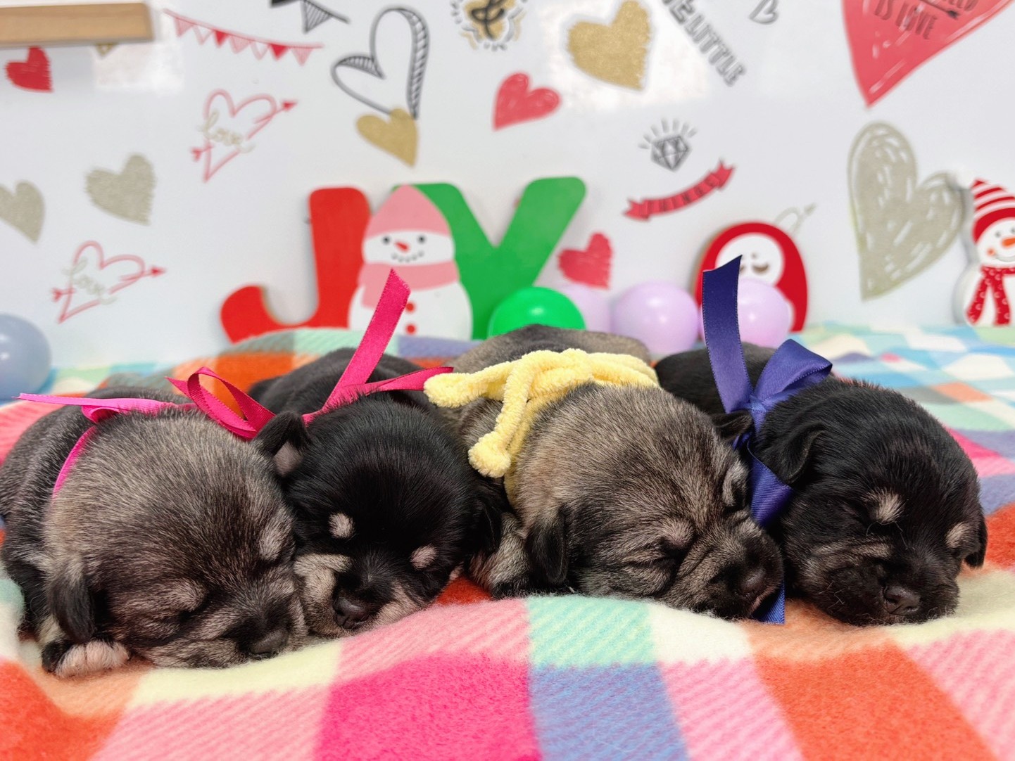 赤ちゃん写真1-3