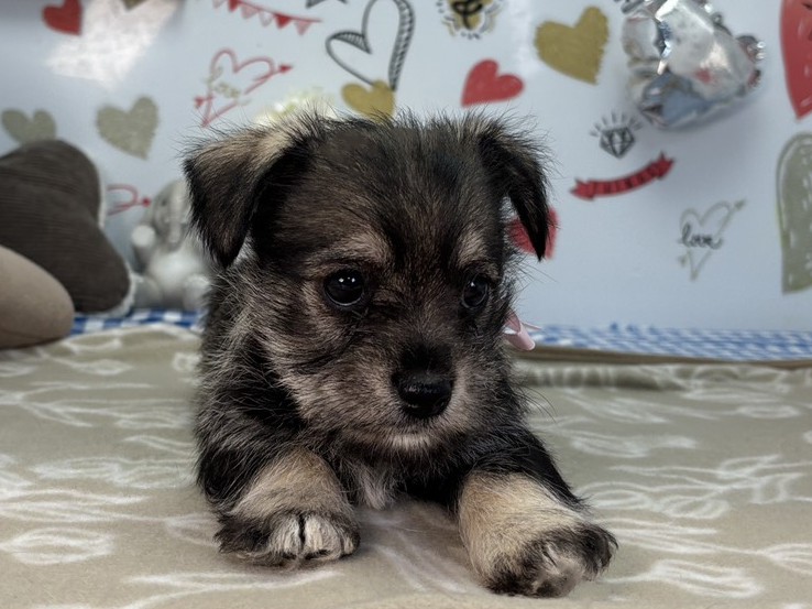 赤ちゃん写真2-1