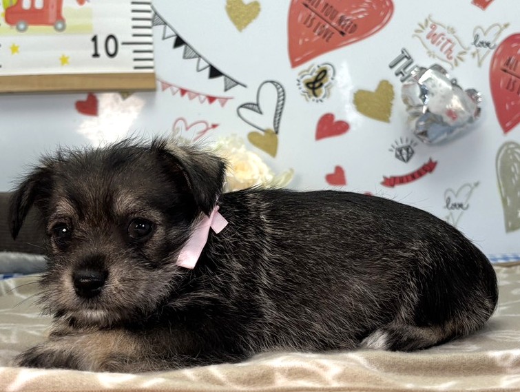 赤ちゃん写真2-2