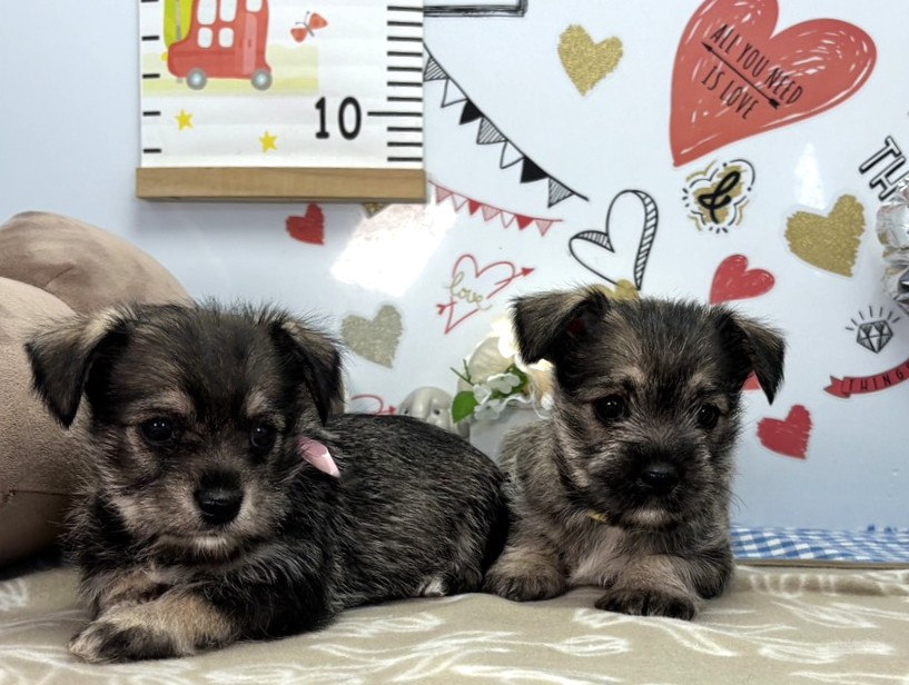 赤ちゃん写真2-3