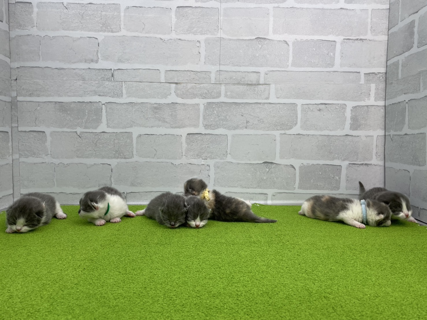 赤ちゃん写真1-3