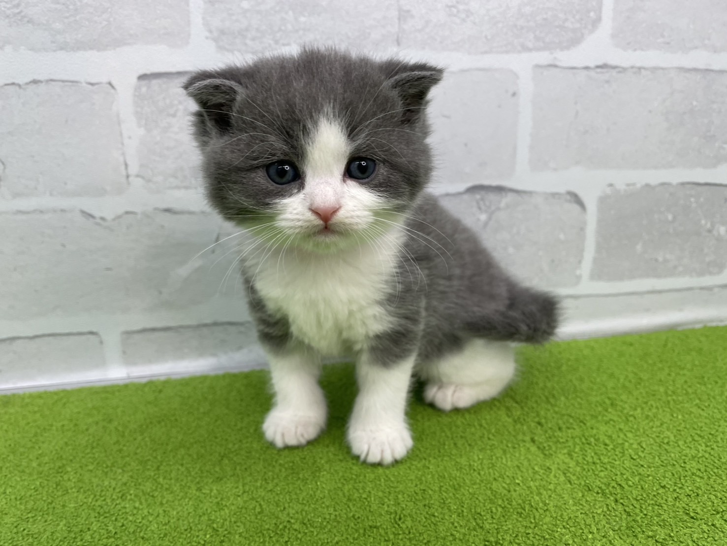 赤ちゃん写真2-1