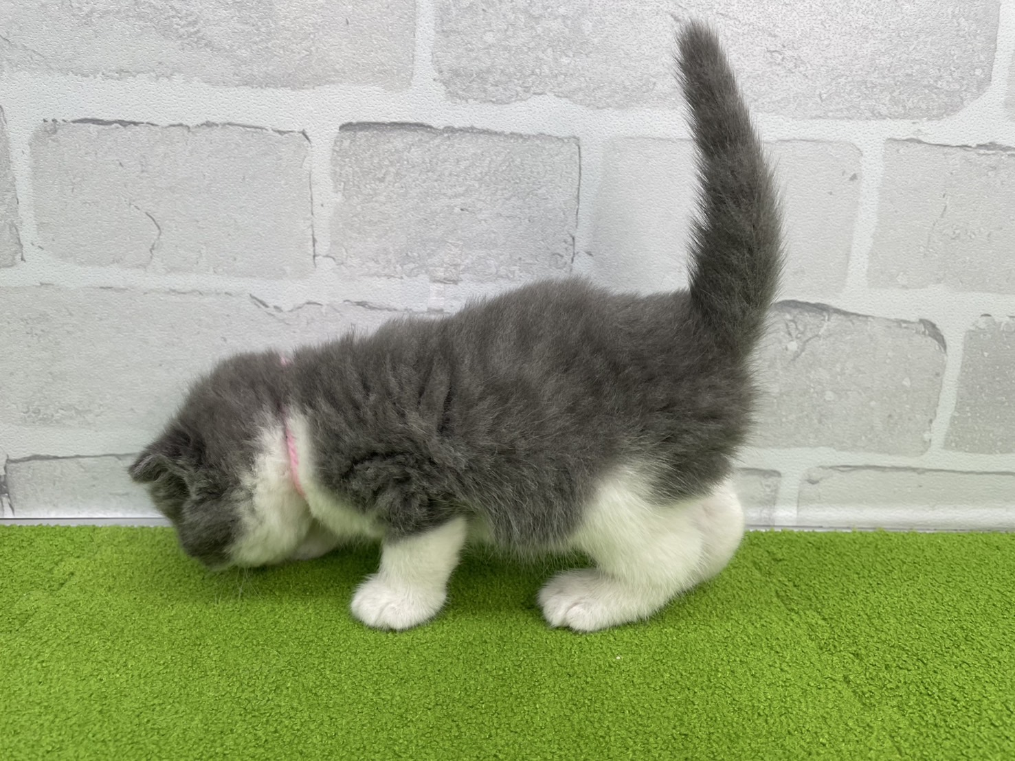 赤ちゃん写真2-2