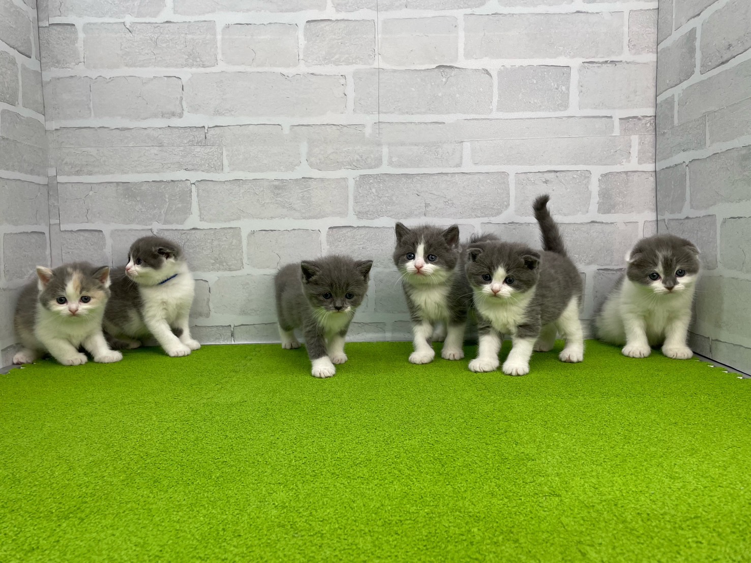 赤ちゃん写真2-3