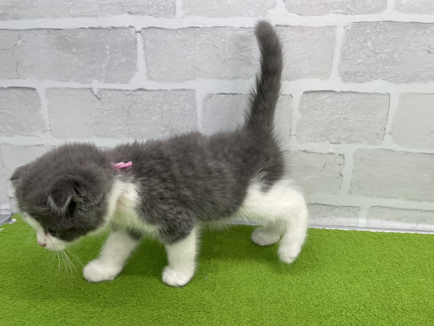 赤ちゃん写真3-2