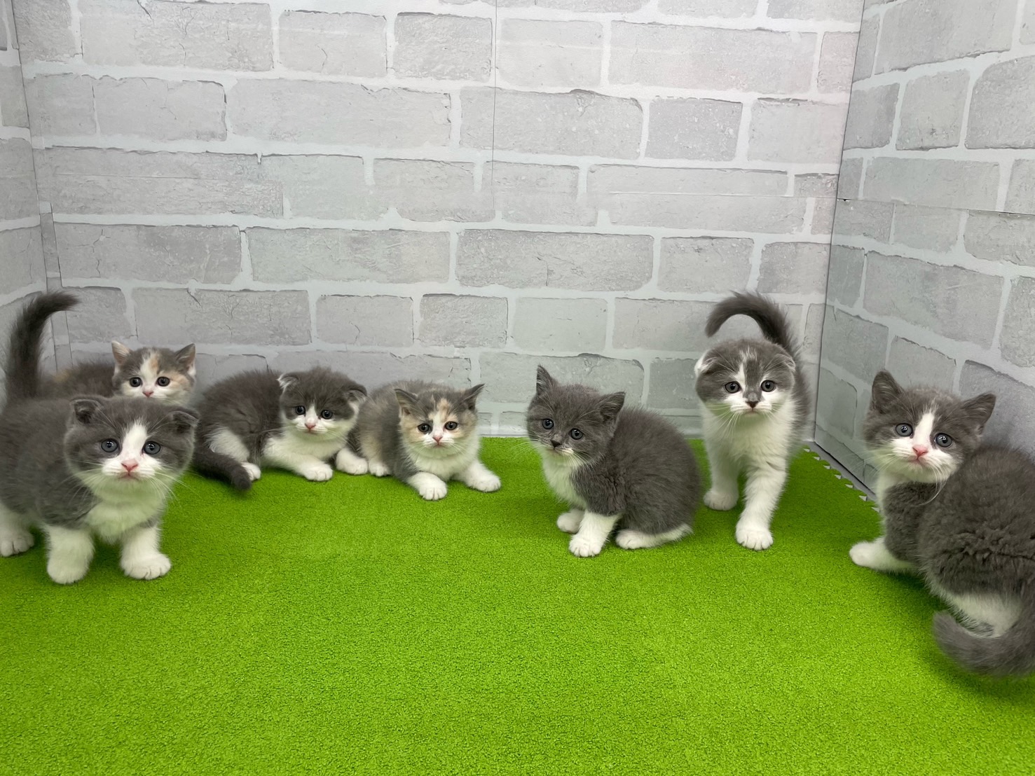 赤ちゃん写真3-3