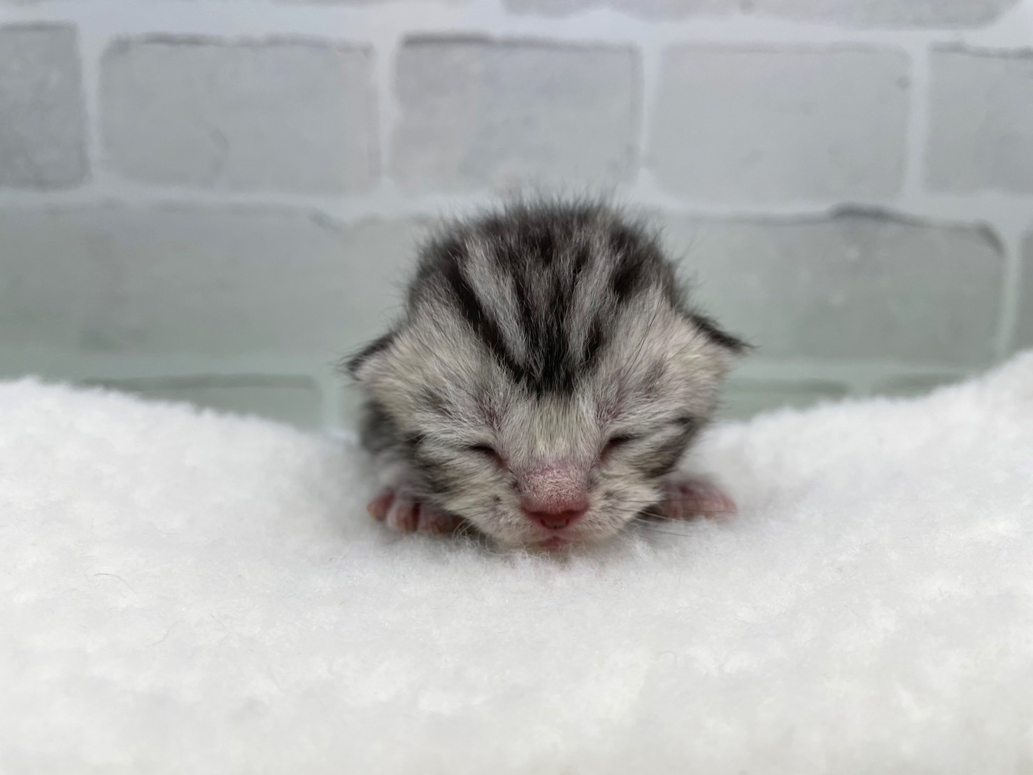 赤ちゃん写真1-1