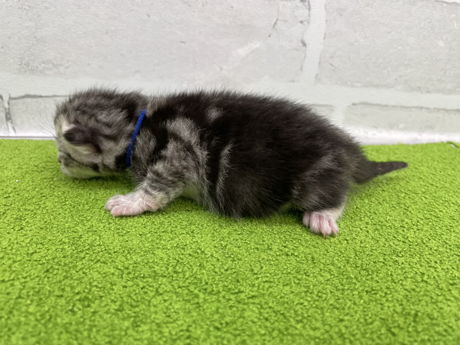 赤ちゃん写真1-2