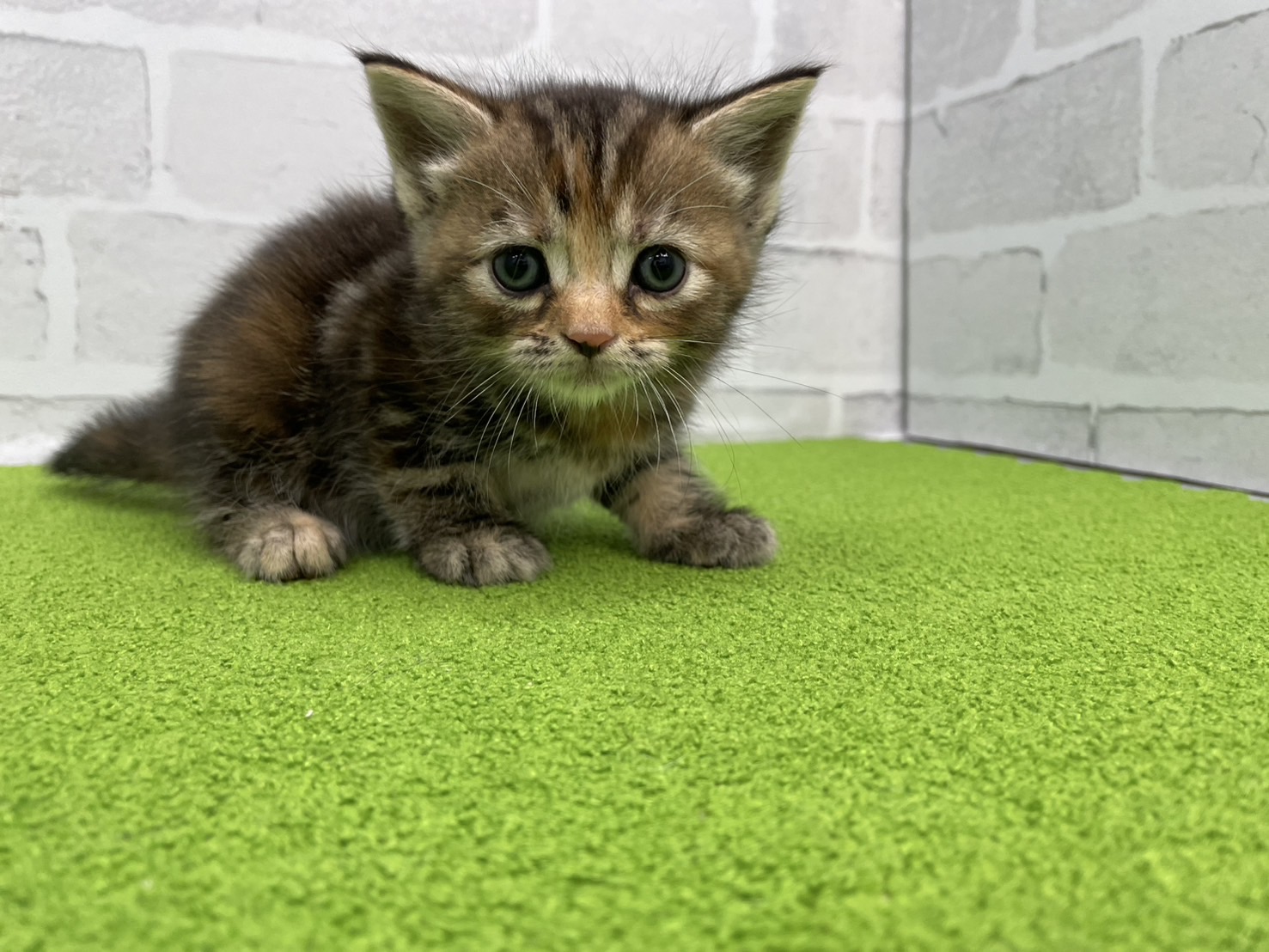 赤ちゃん写真2-1