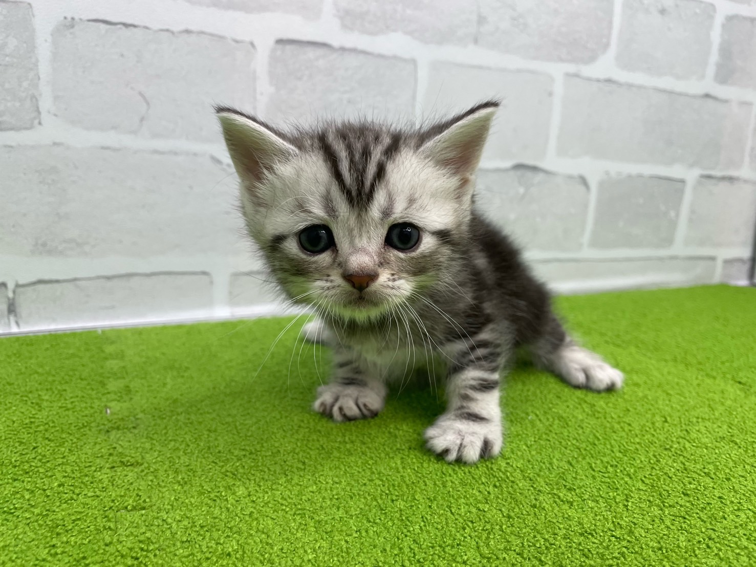 赤ちゃん写真2-1