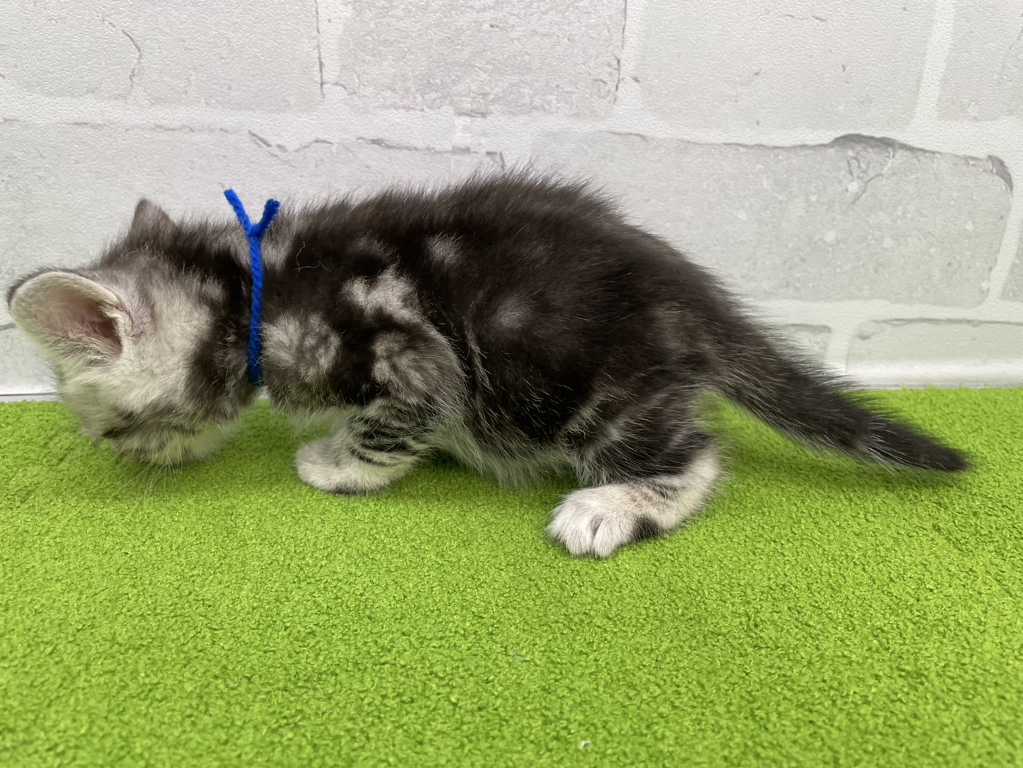 赤ちゃん写真2-2