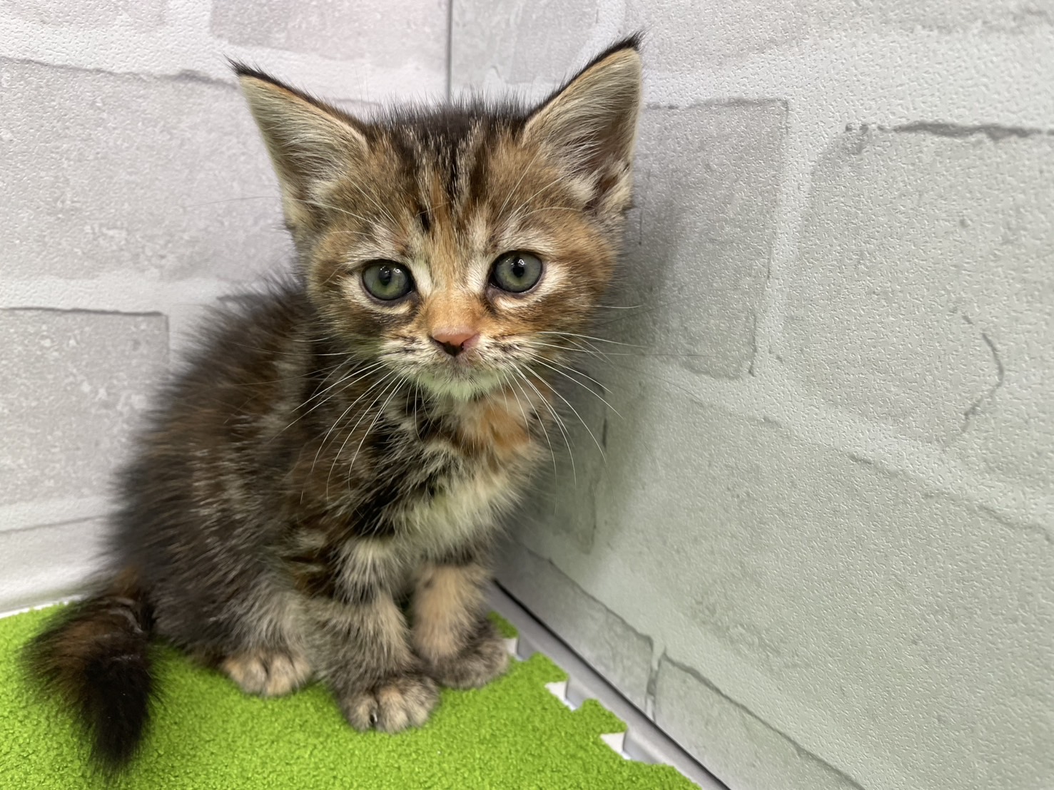 赤ちゃん写真3-1