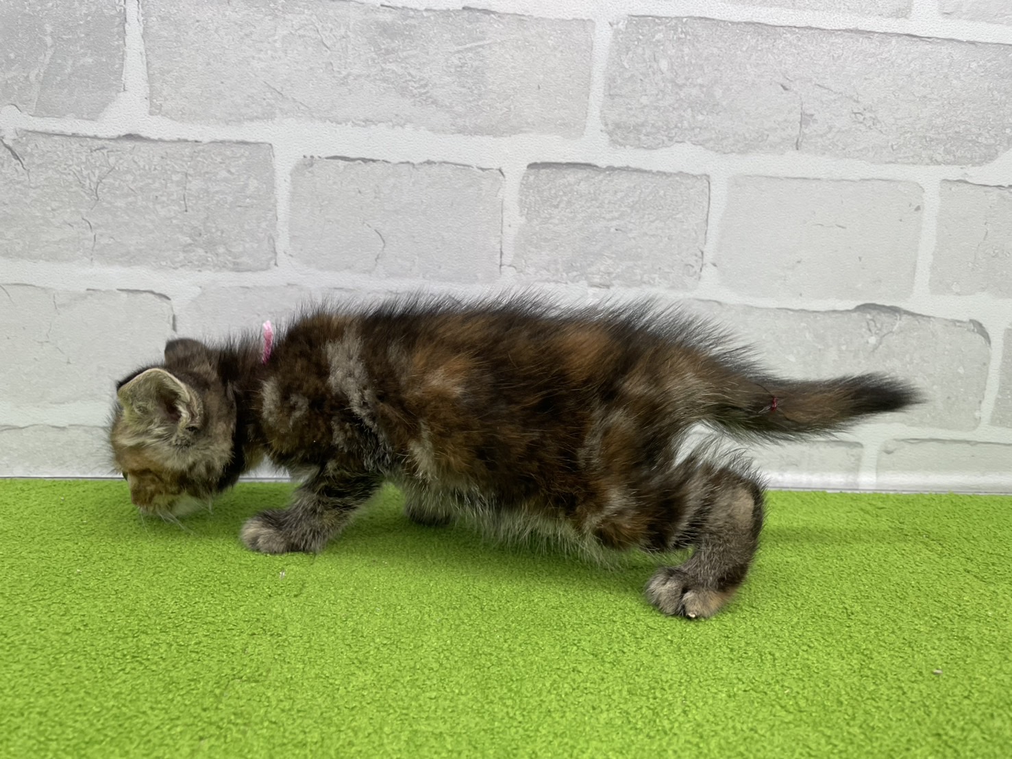 赤ちゃん写真3-2