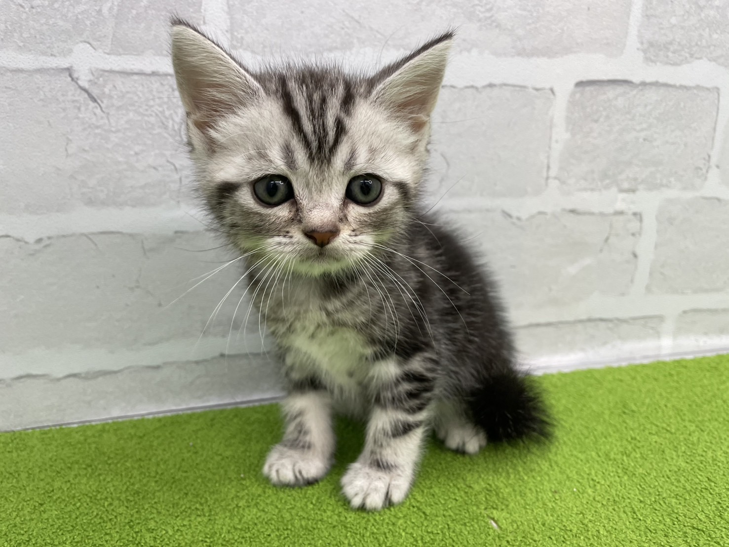 赤ちゃん写真3-1