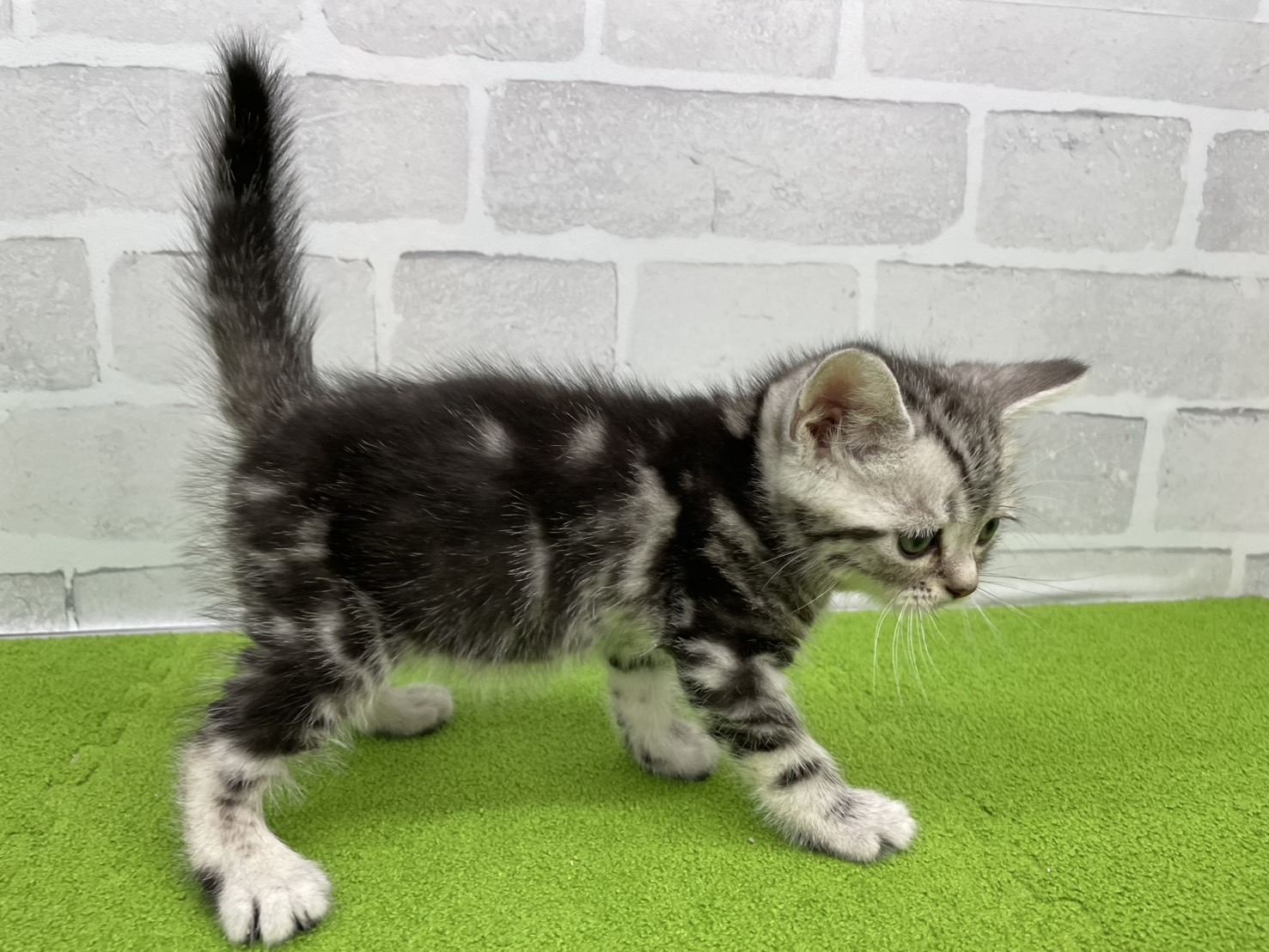 赤ちゃん写真3-2