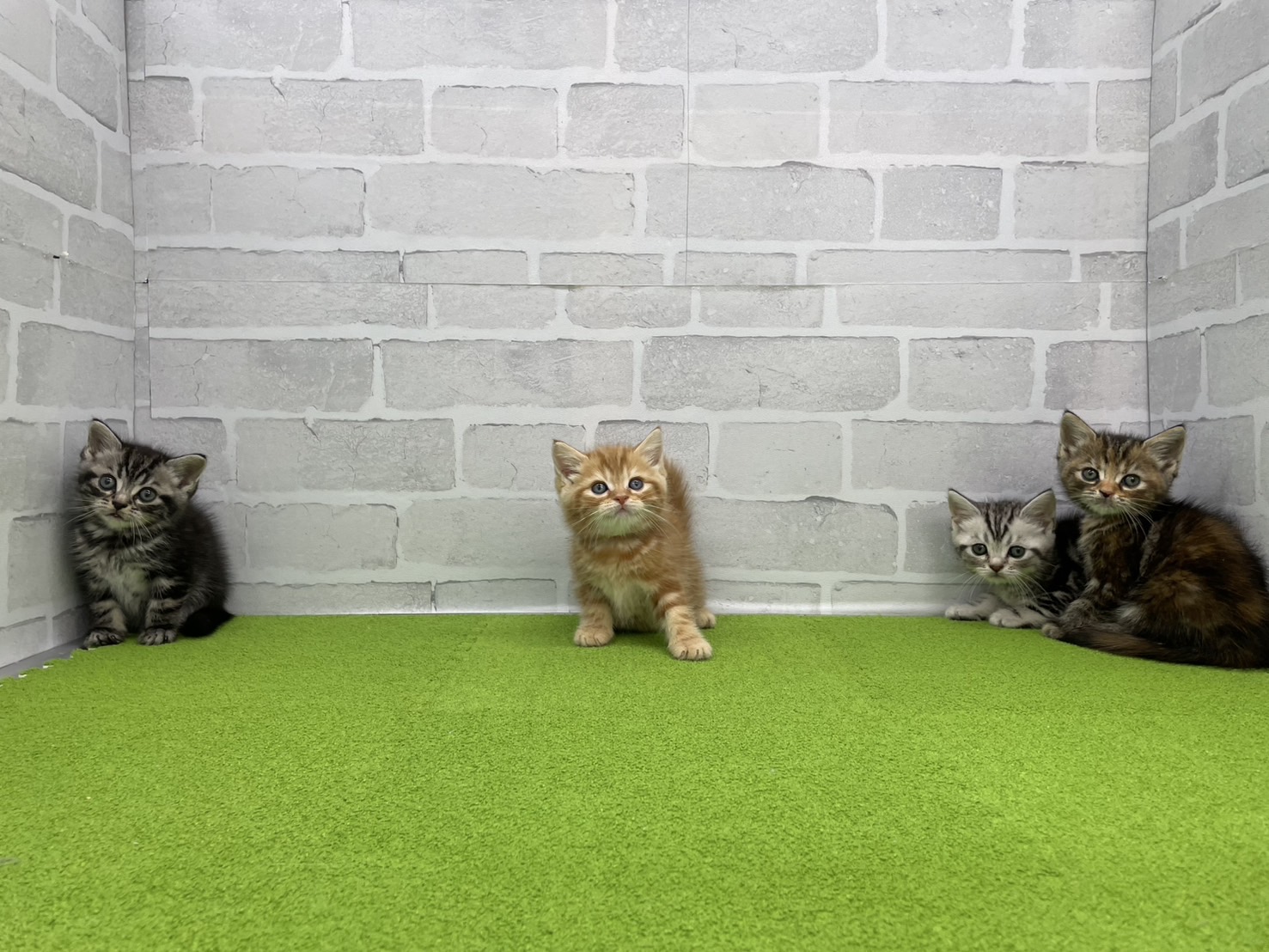 赤ちゃん写真3-3