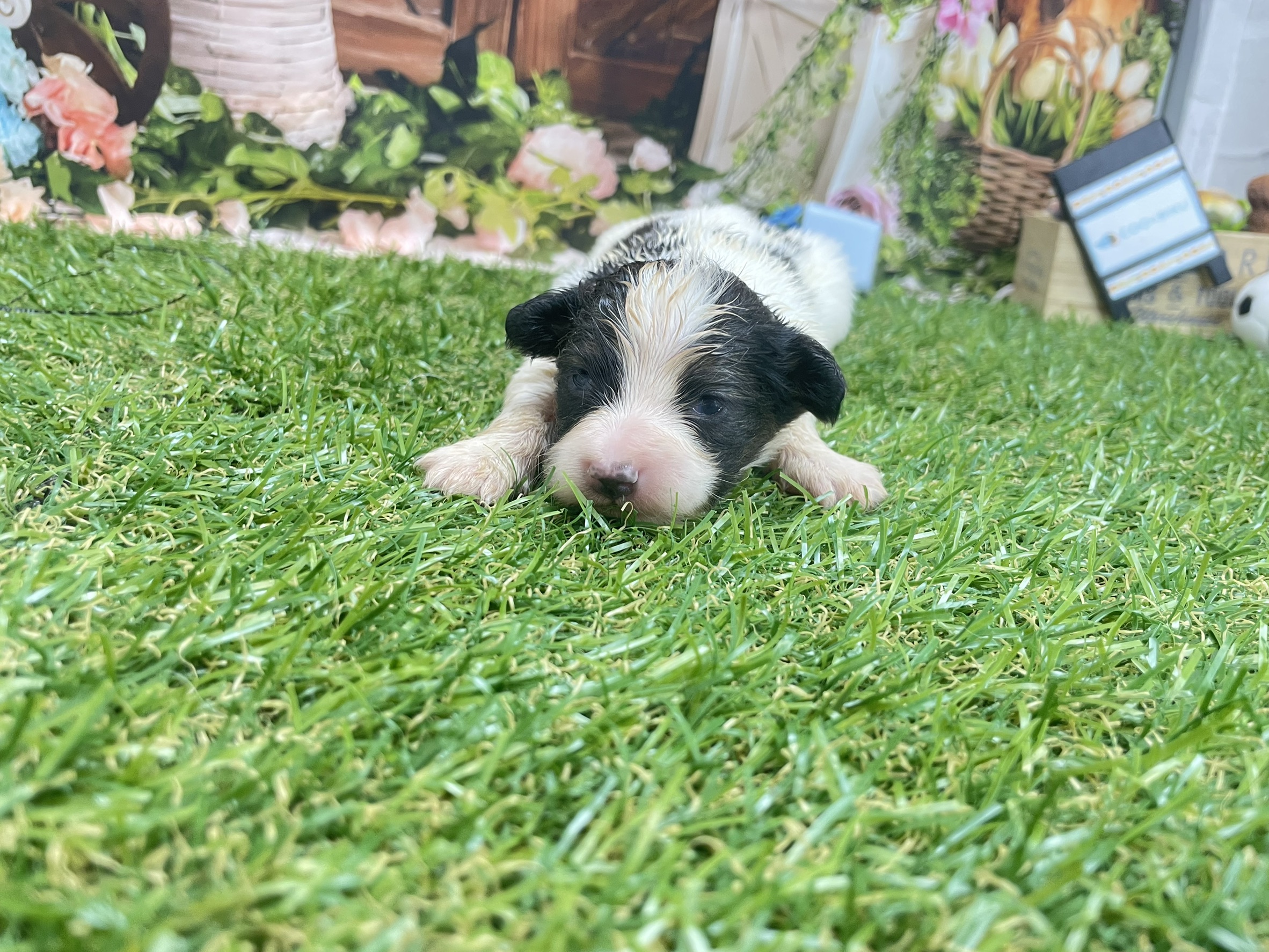 赤ちゃん写真1-1