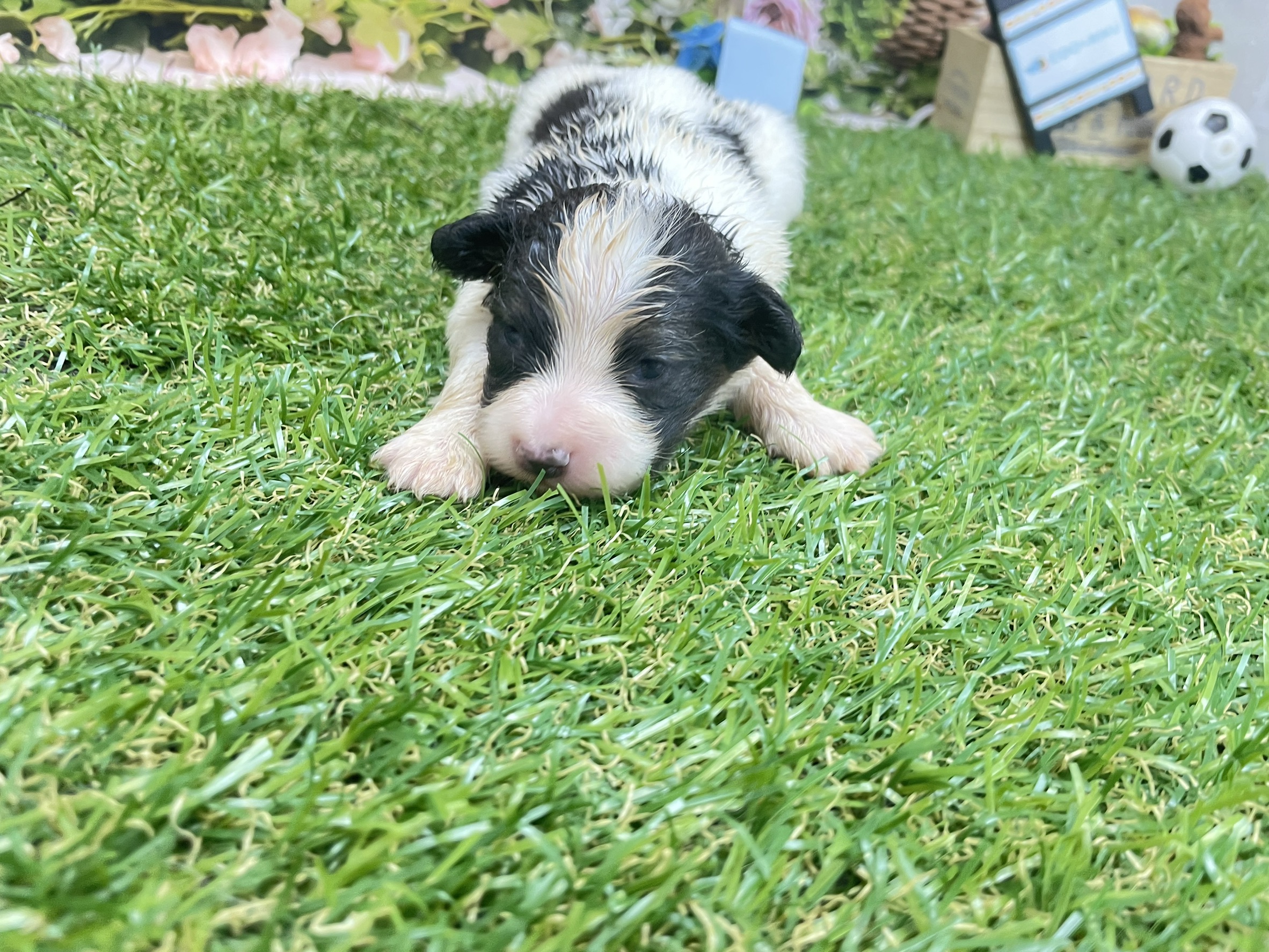 赤ちゃん写真1-2