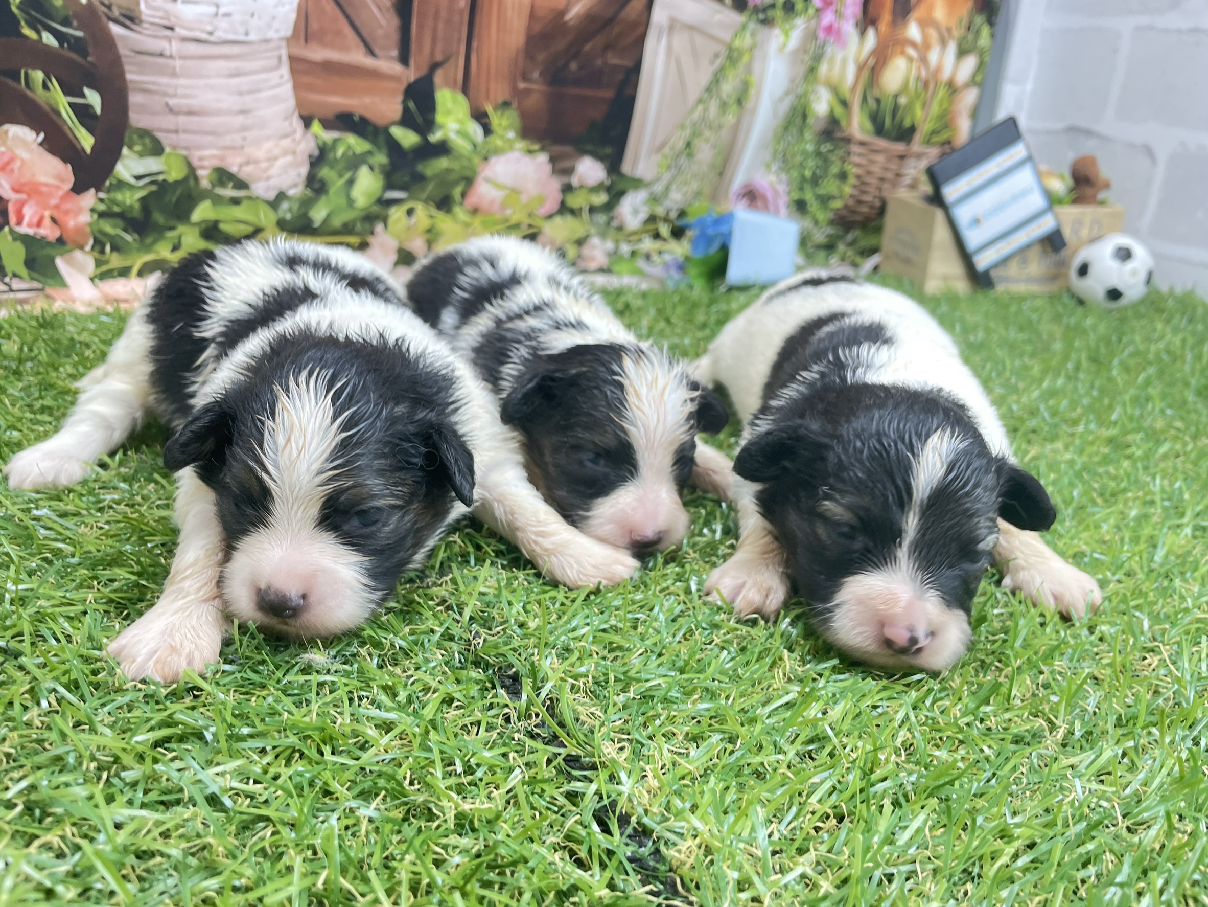 赤ちゃん写真1-3