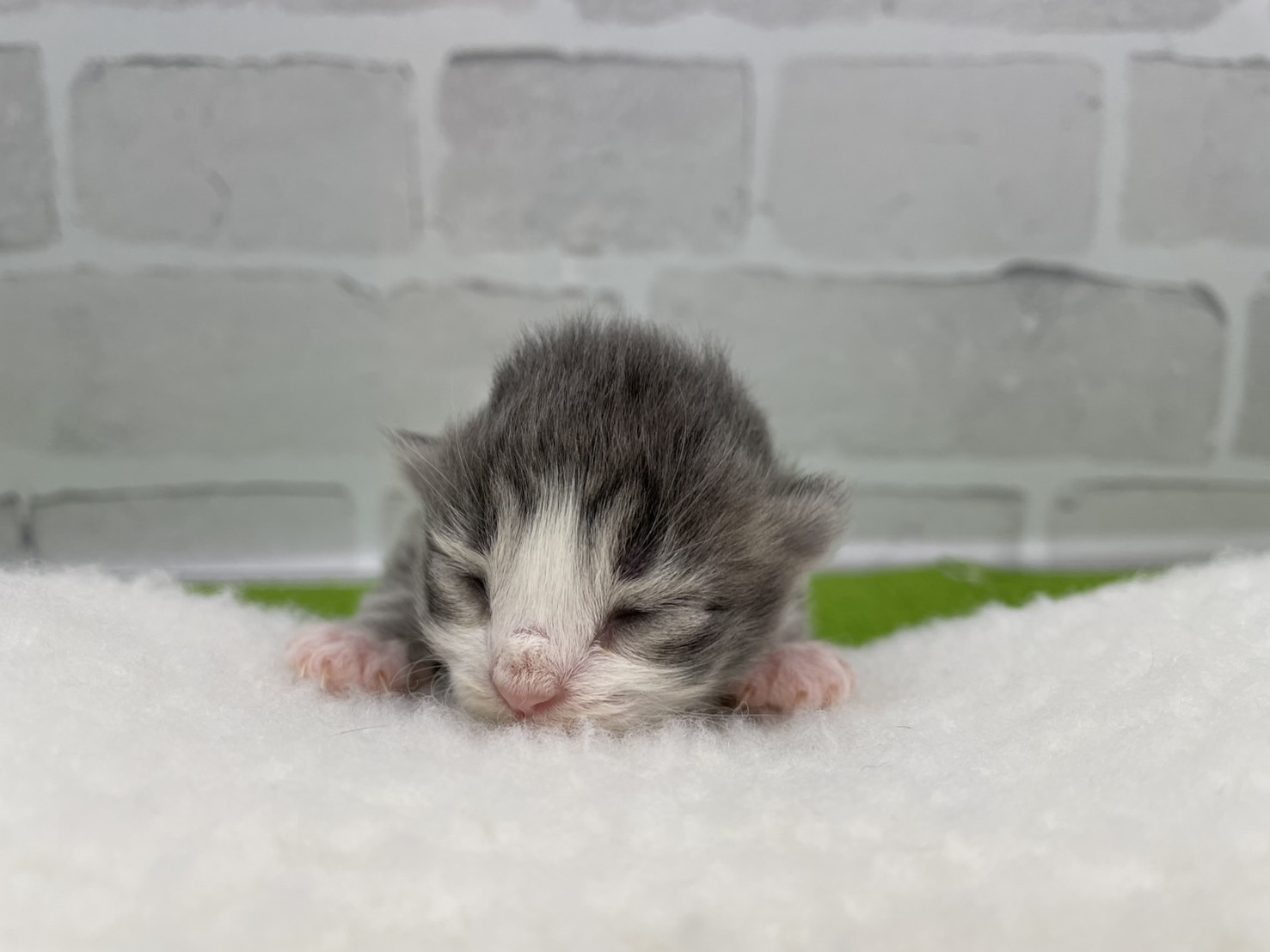 赤ちゃん写真1-1