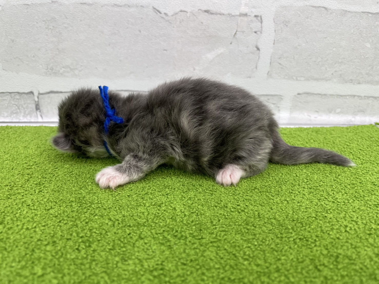 赤ちゃん写真1-2