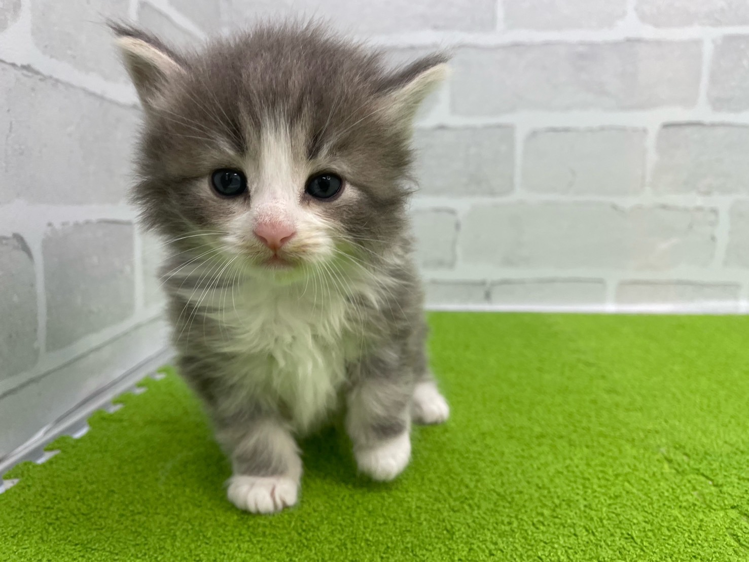 赤ちゃん写真2-1