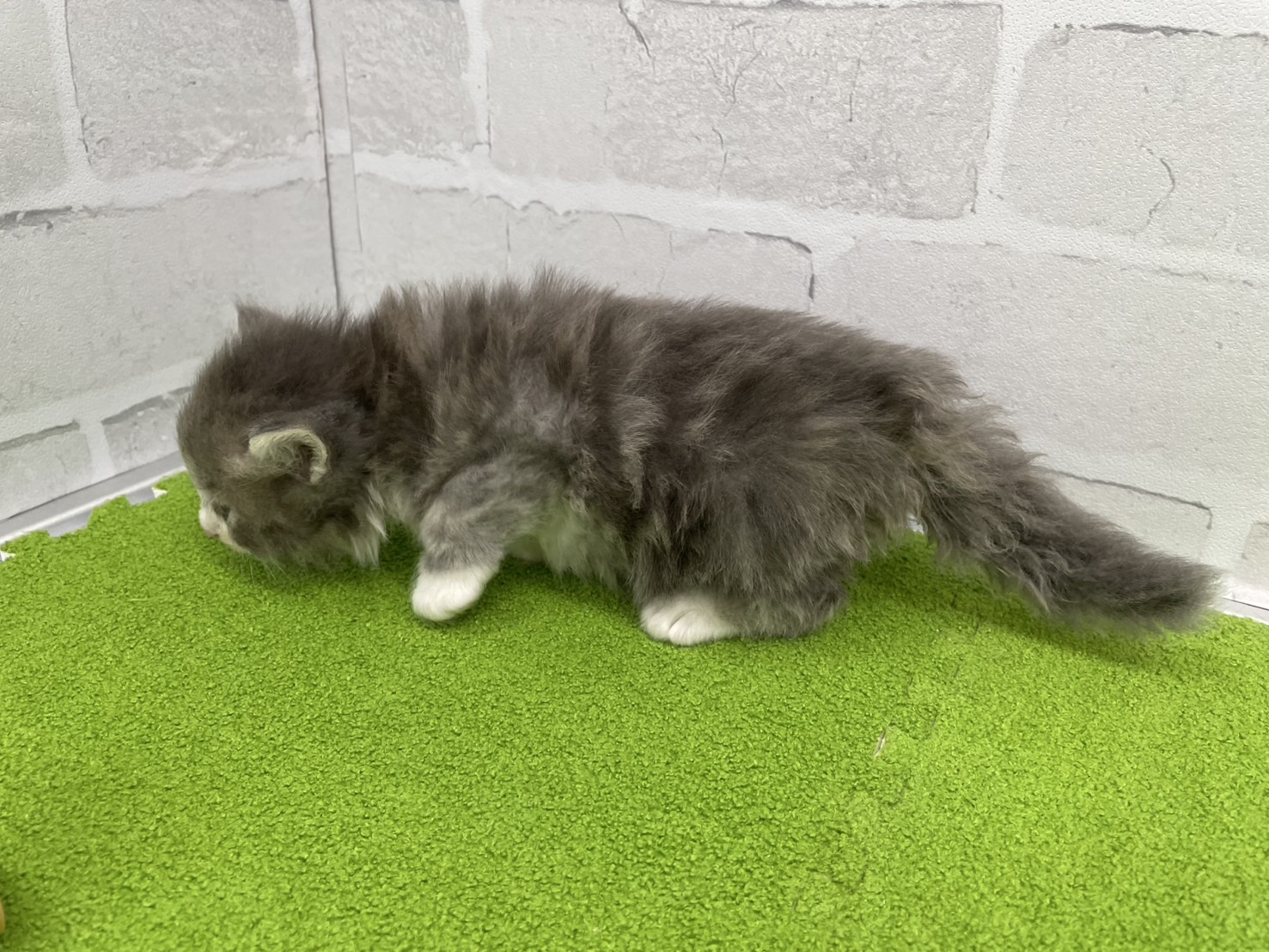 赤ちゃん写真2-2