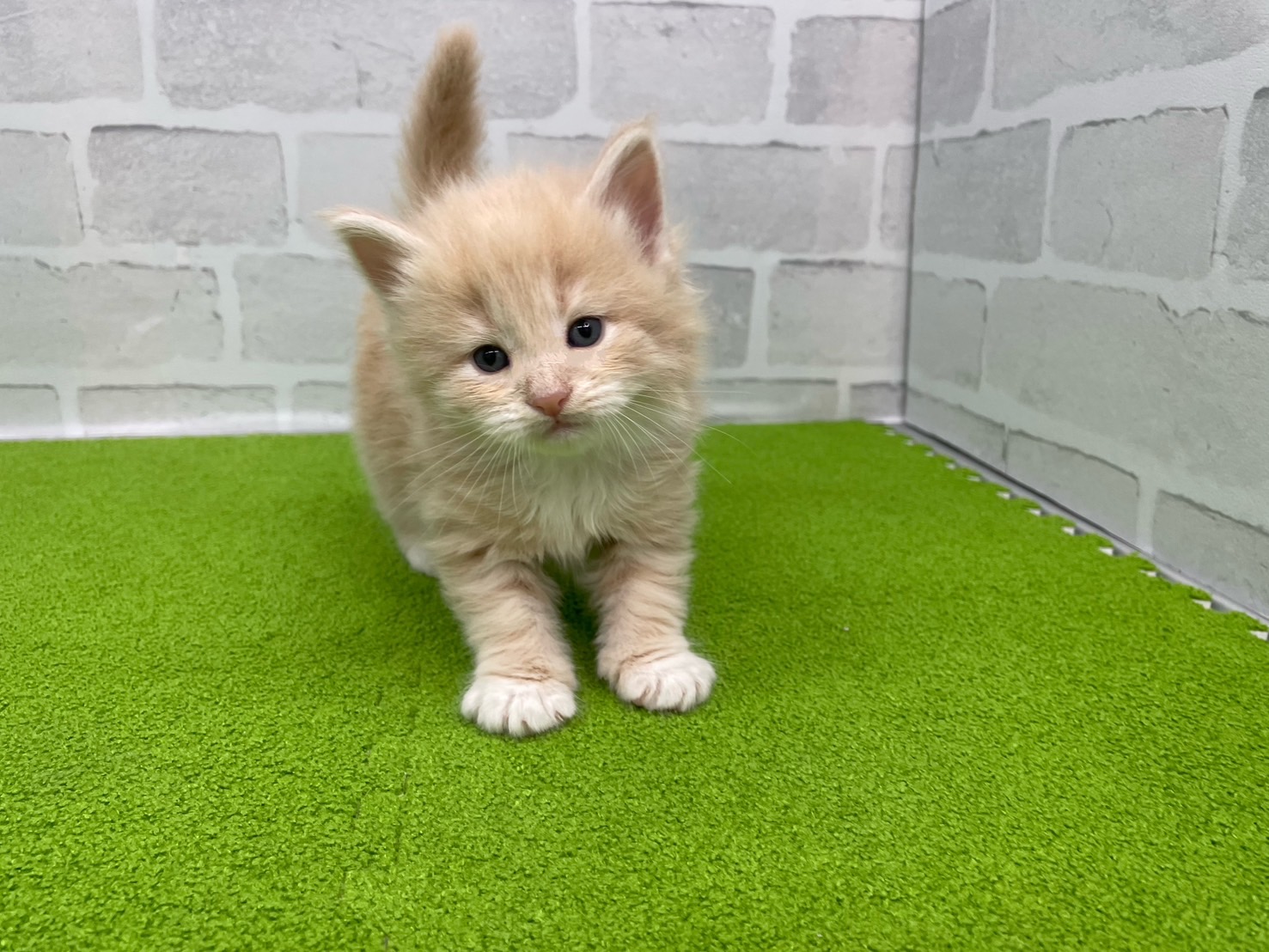 赤ちゃん写真2-1