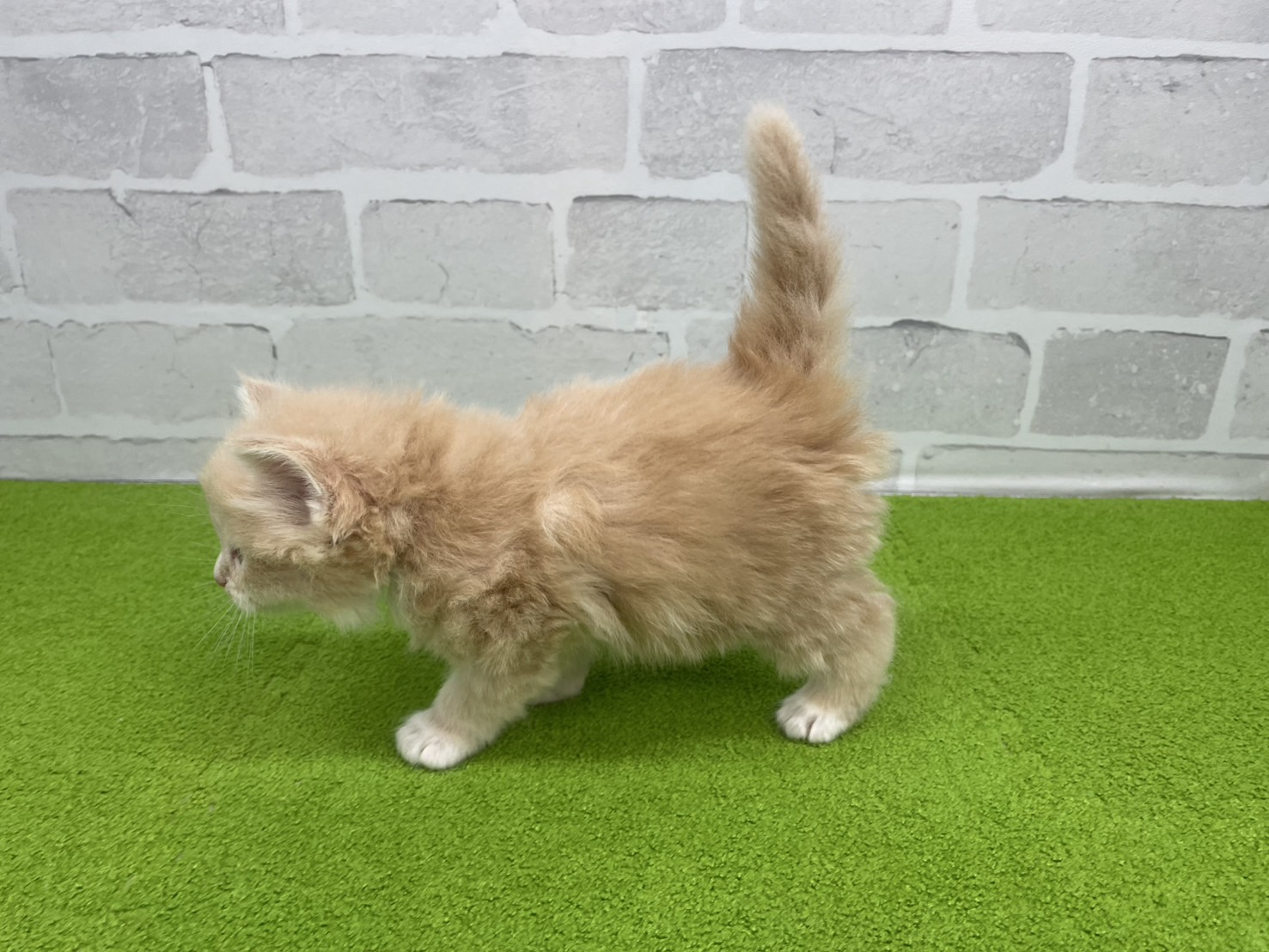 赤ちゃん写真2-2