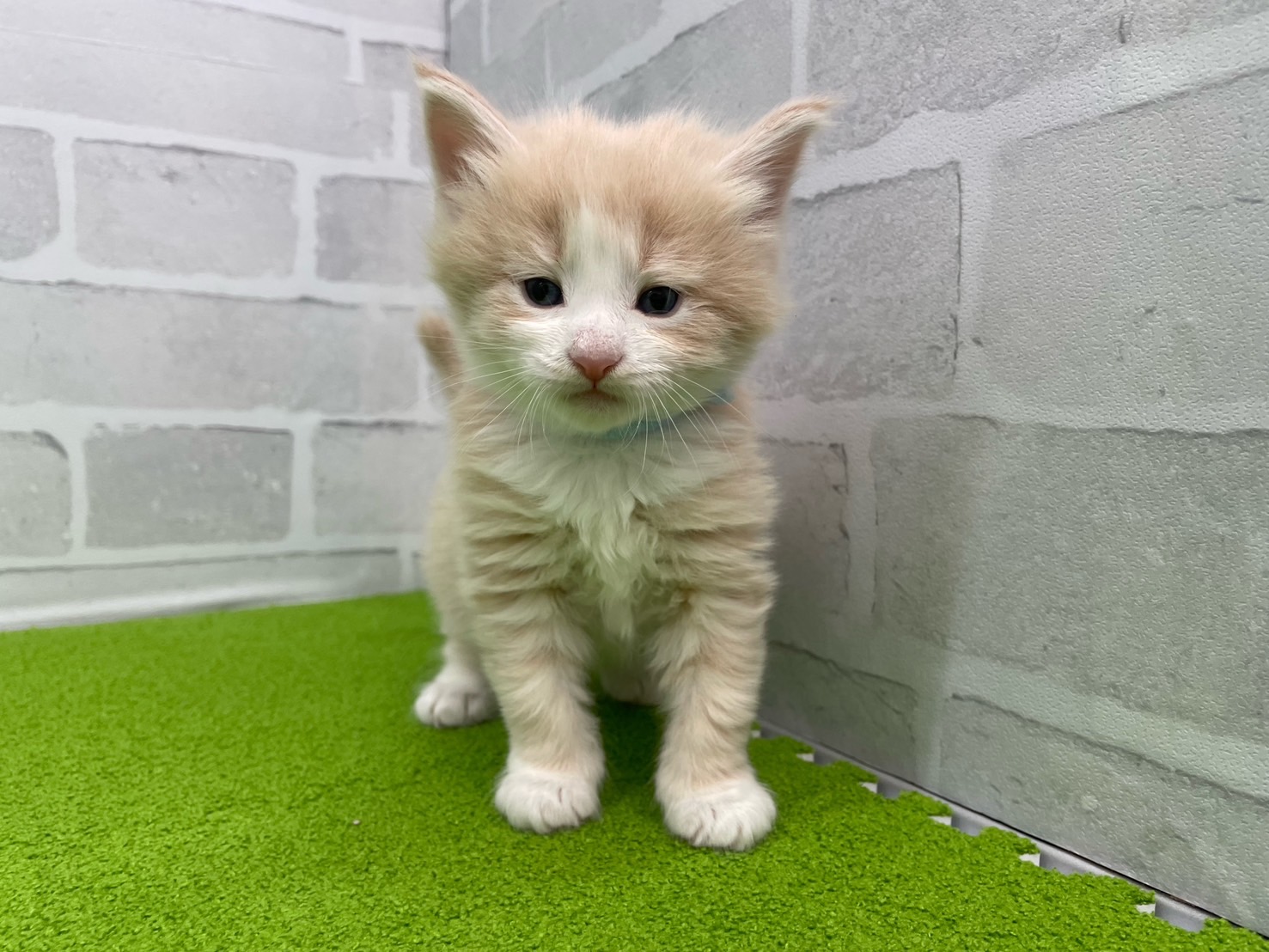 赤ちゃん写真2-1