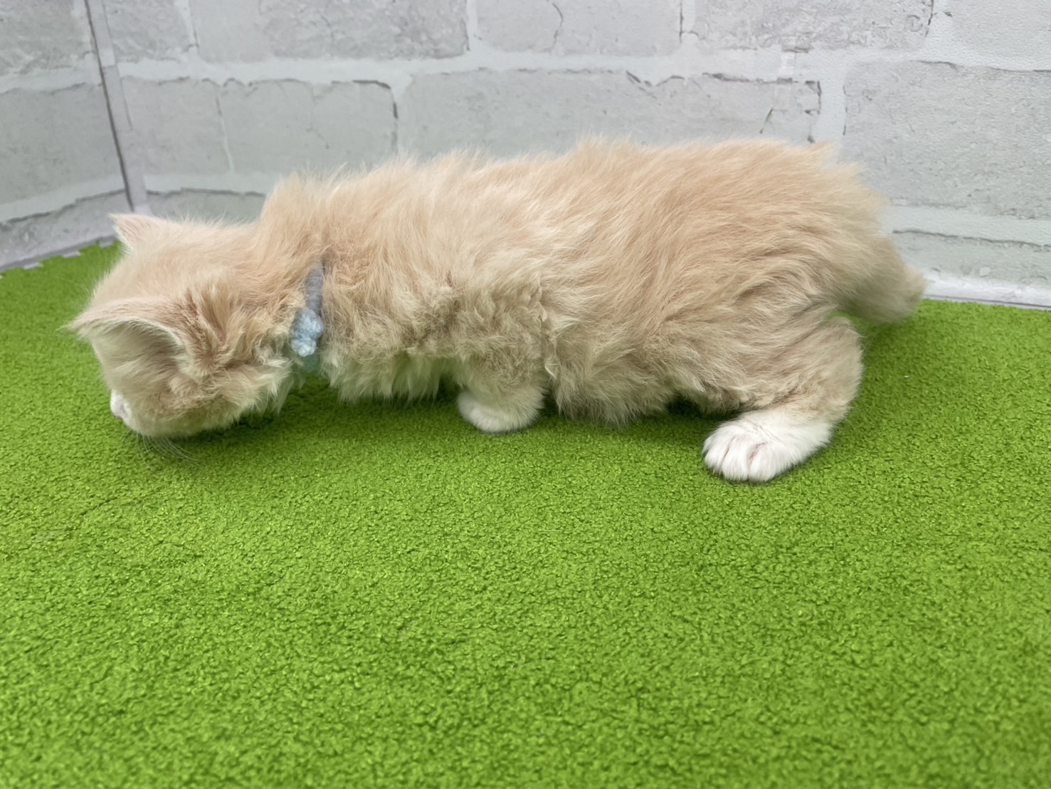 赤ちゃん写真2-2