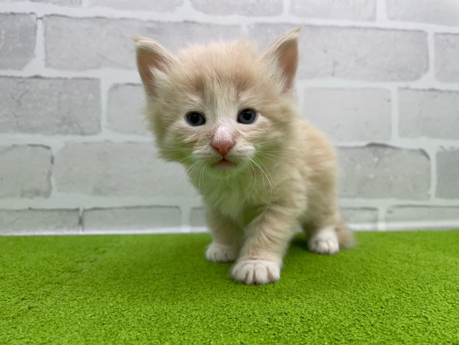 赤ちゃん写真2-1