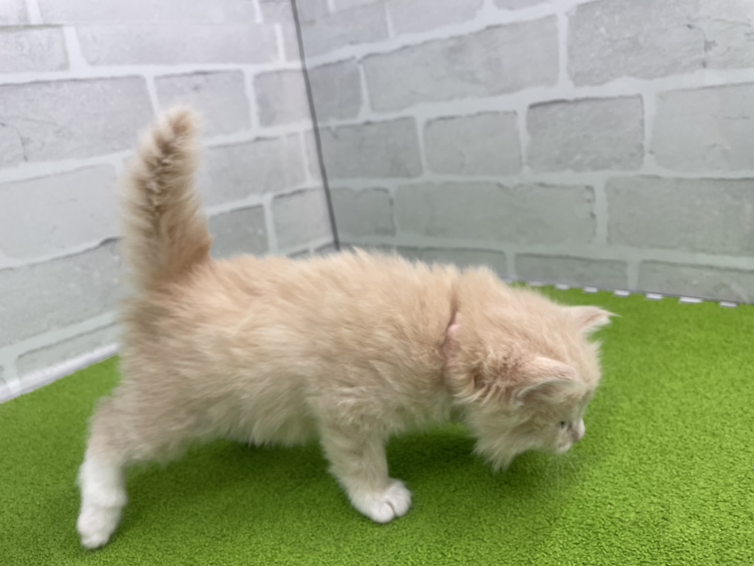 赤ちゃん写真2-2