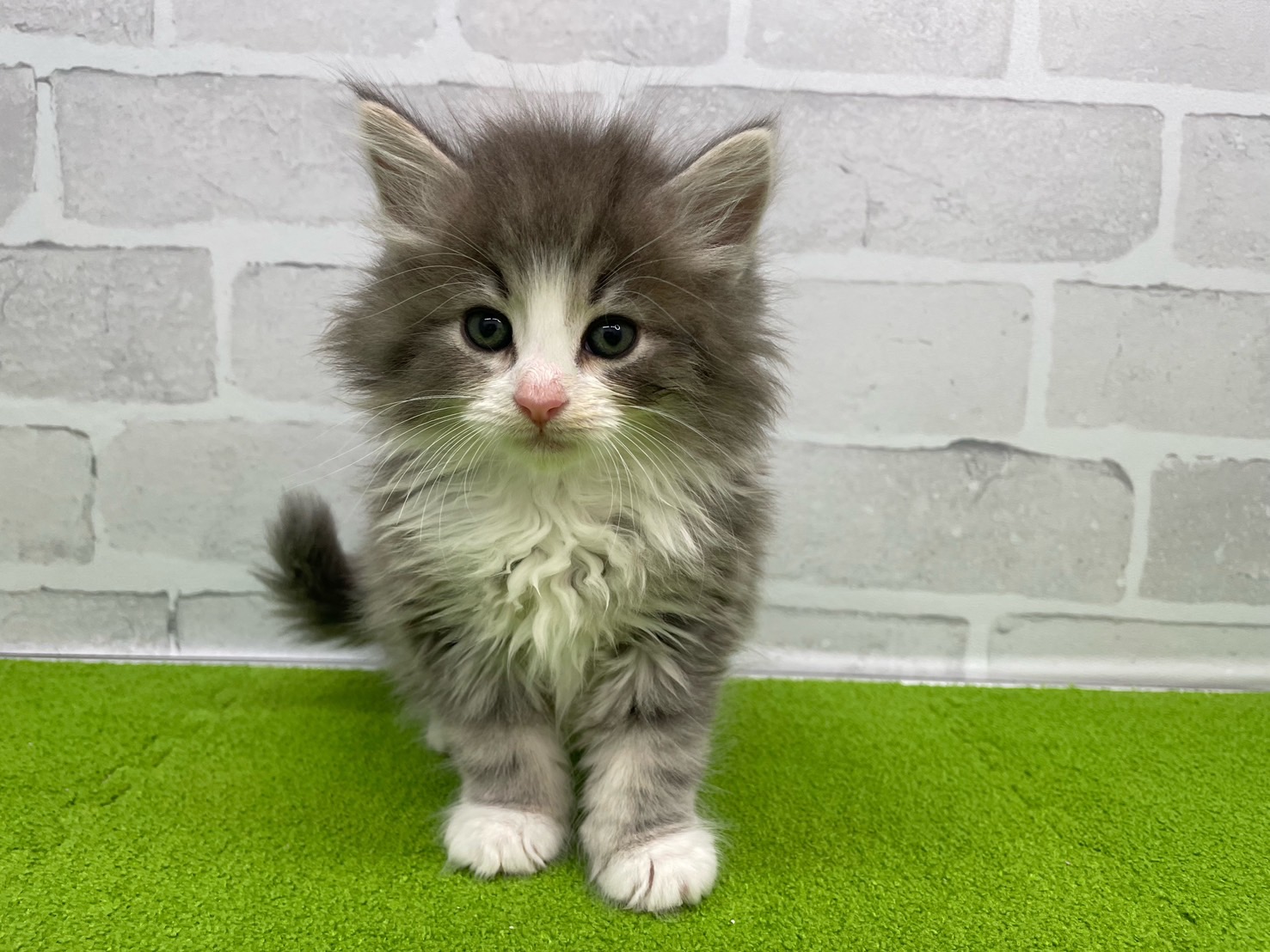 赤ちゃん写真3-1