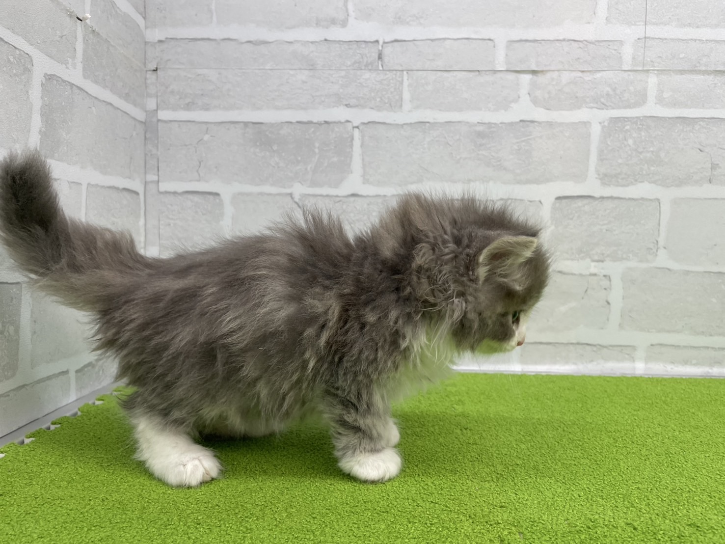 赤ちゃん写真3-2