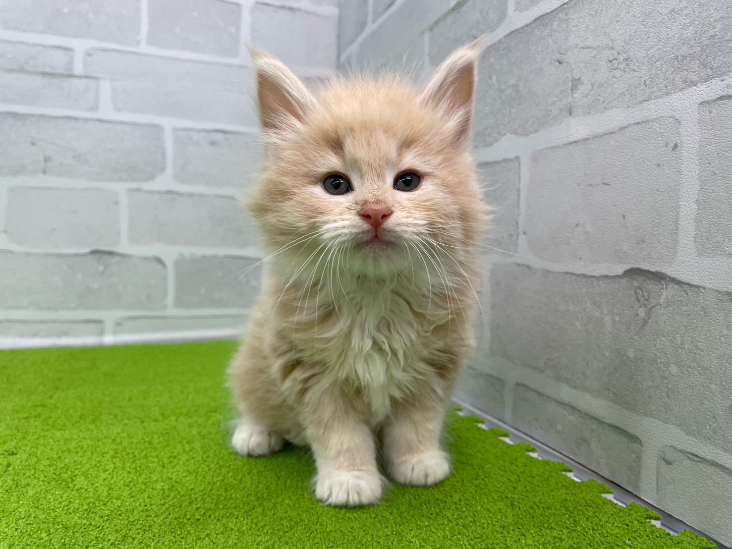 赤ちゃん写真3-1