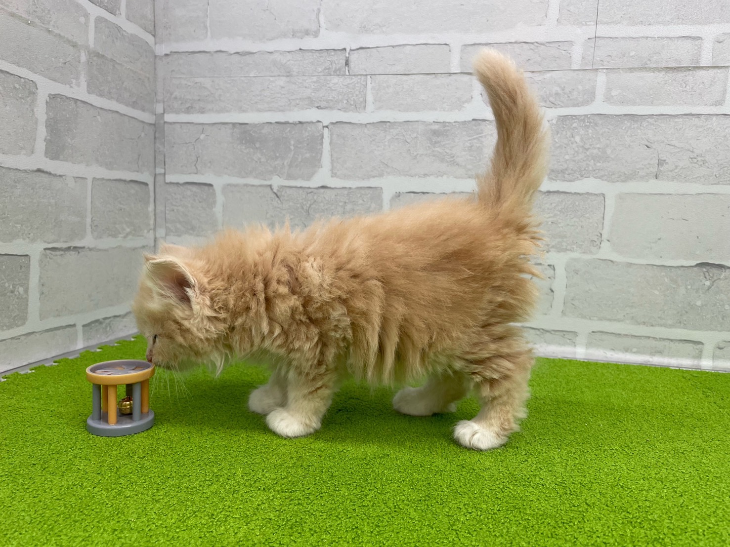 赤ちゃん写真3-2