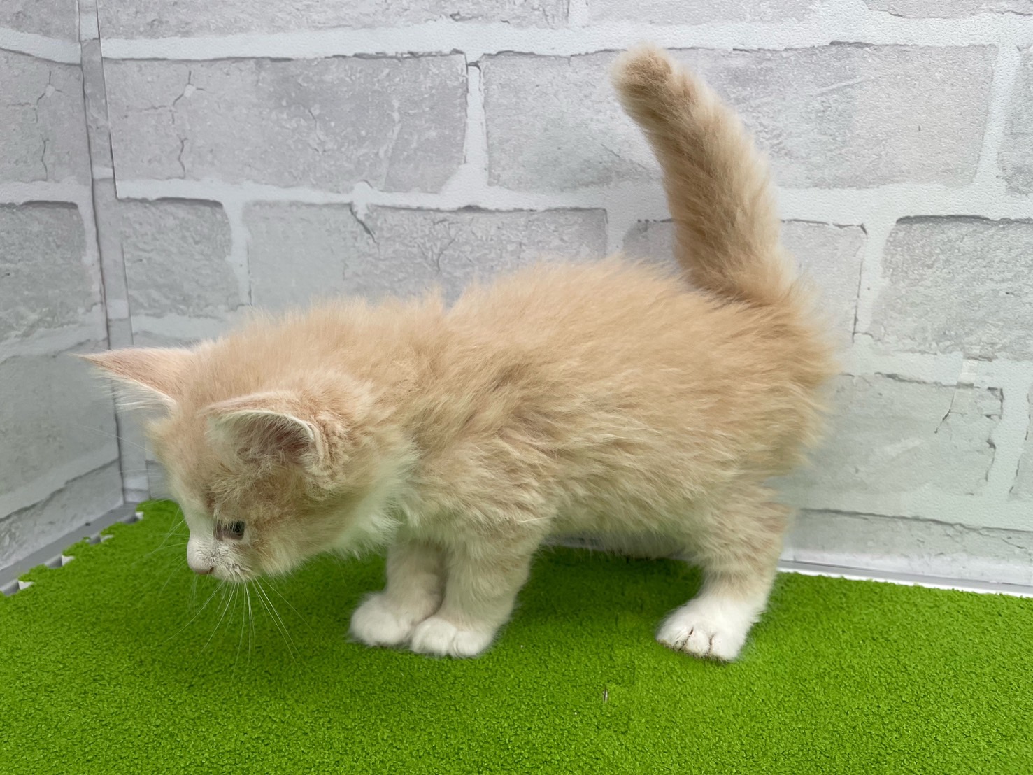 赤ちゃん写真3-2