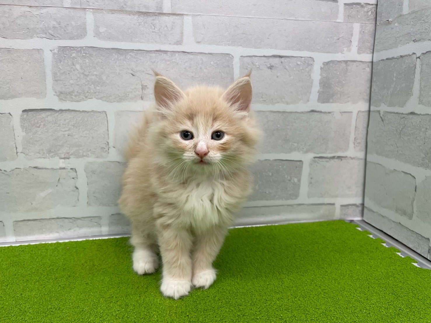 赤ちゃん写真3-1