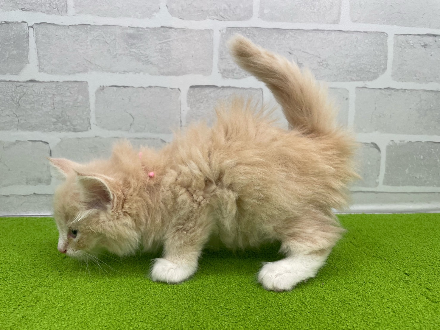 赤ちゃん写真3-2