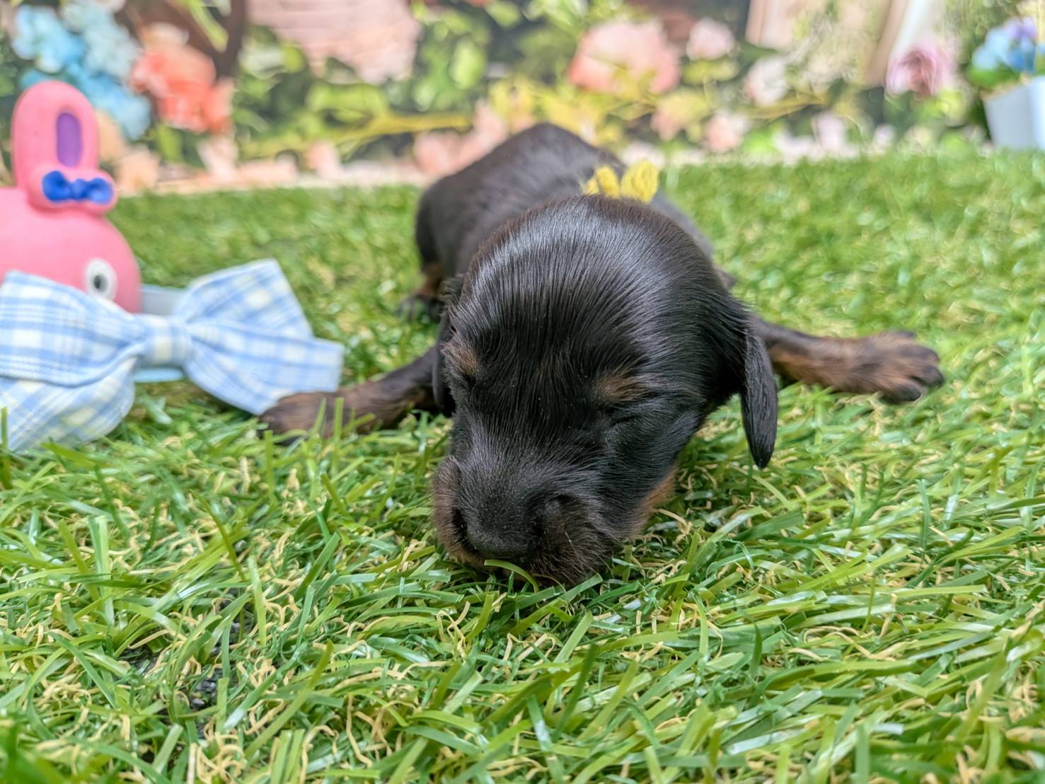 赤ちゃん写真1-1