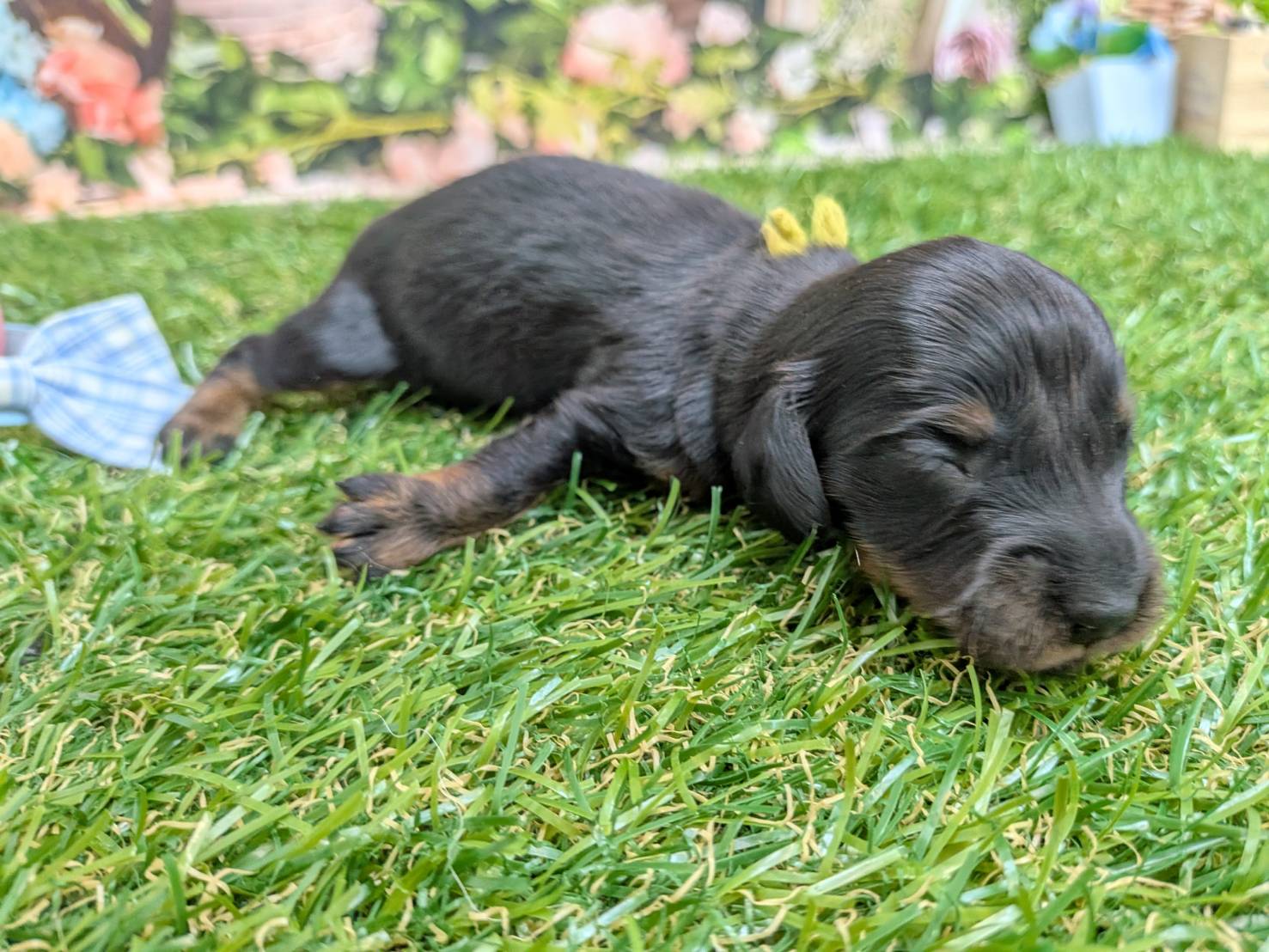 赤ちゃん写真1-2