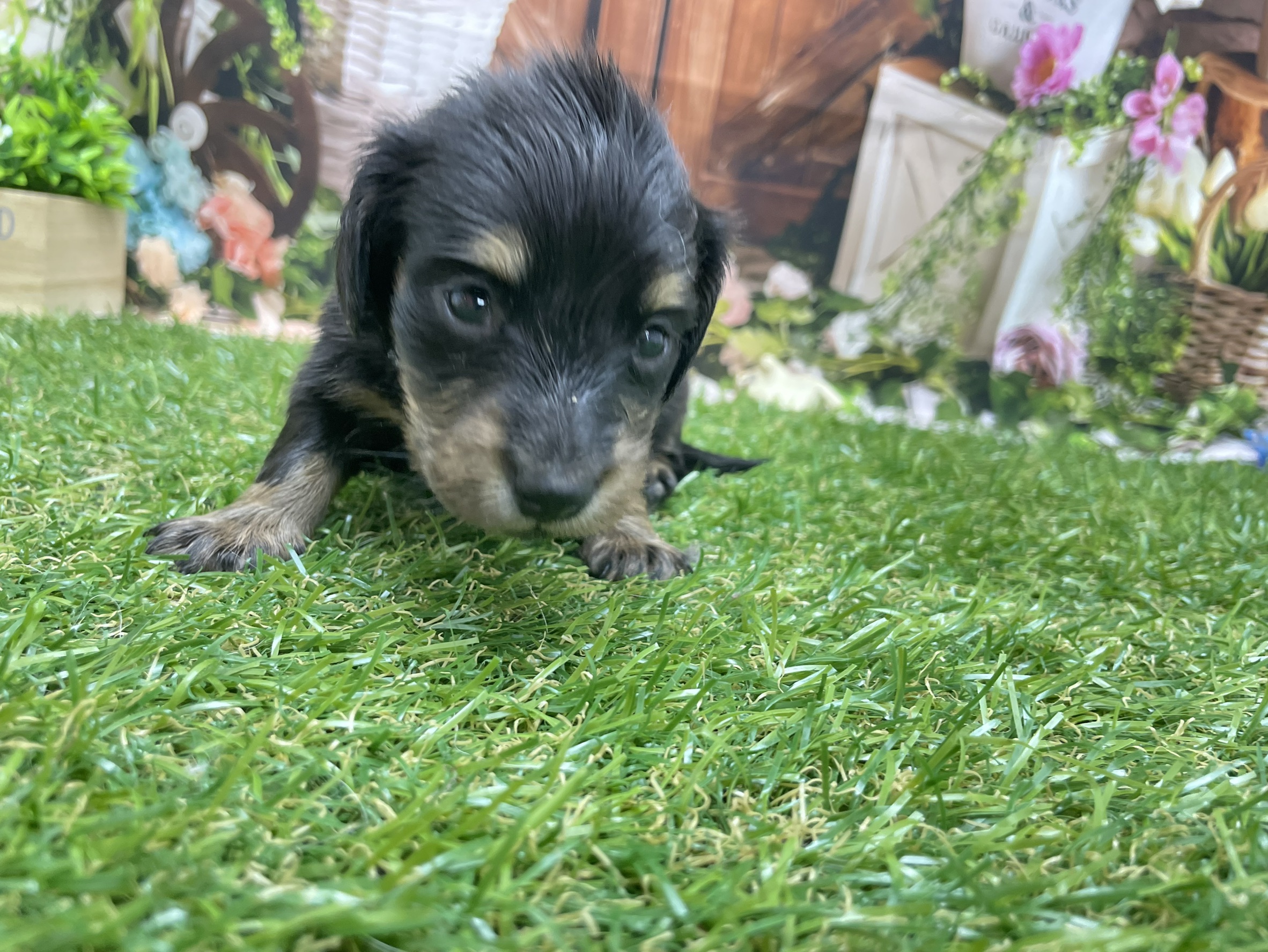 赤ちゃん写真2-1