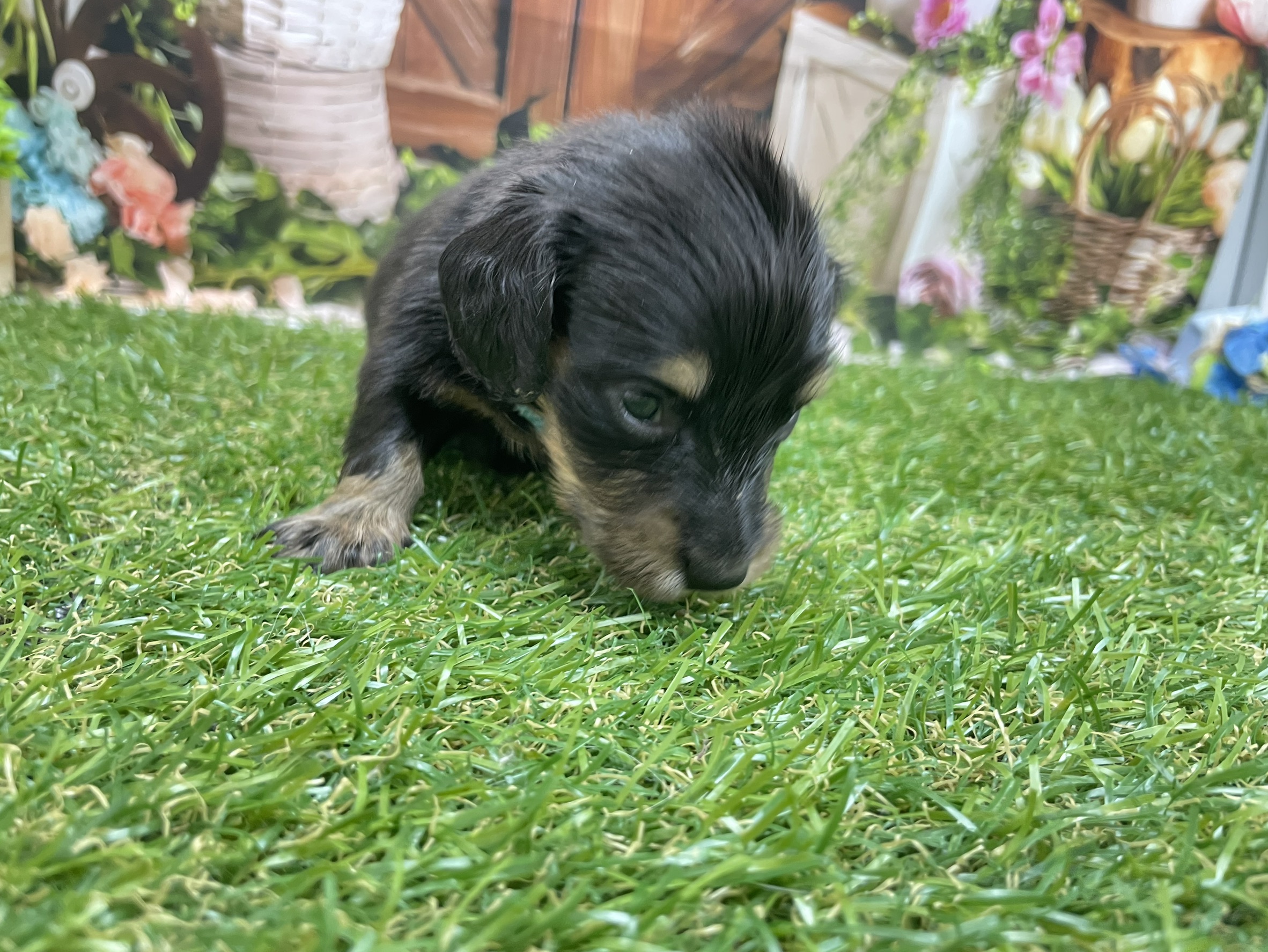 赤ちゃん写真2-2