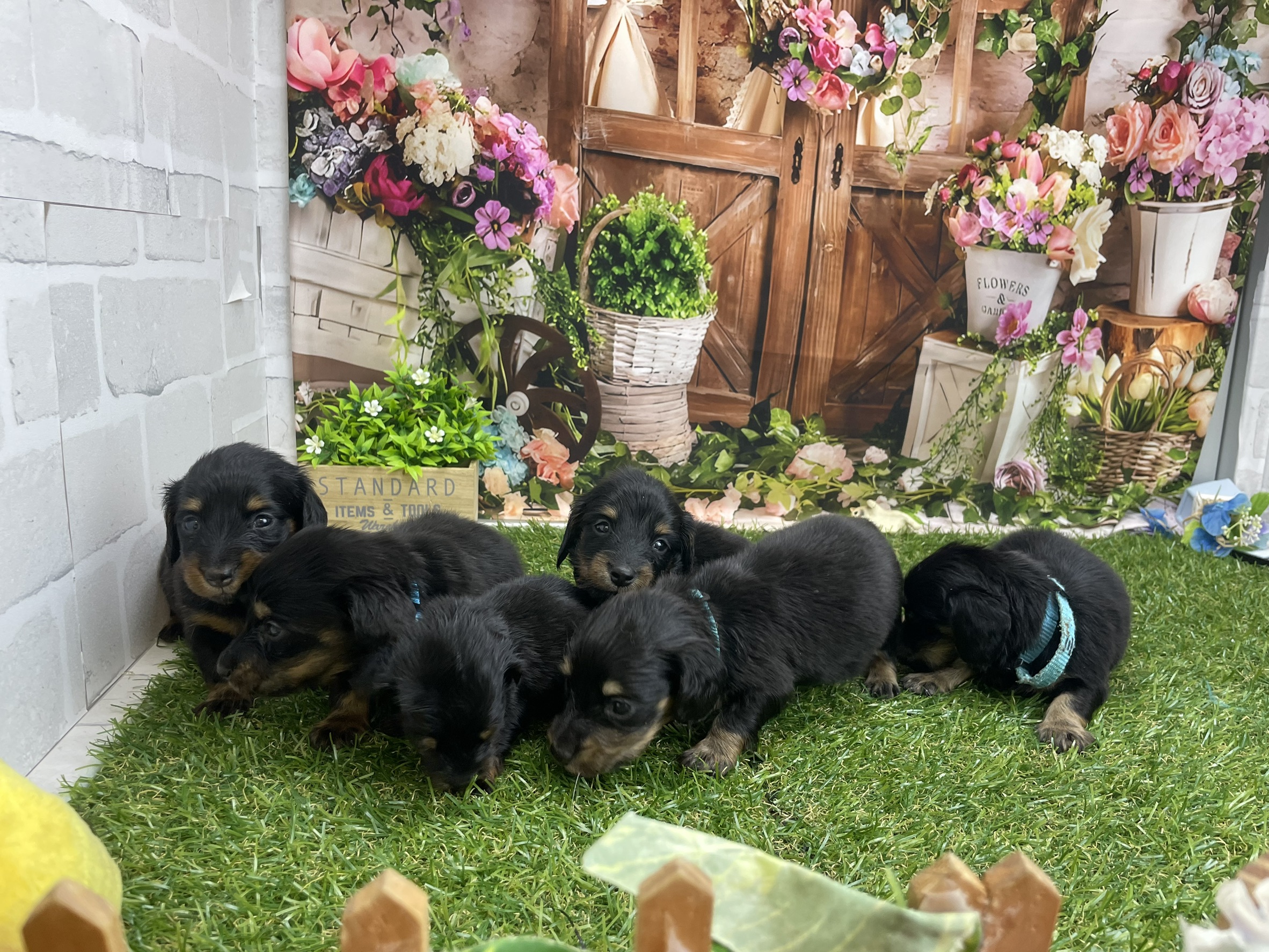 赤ちゃん写真2-3